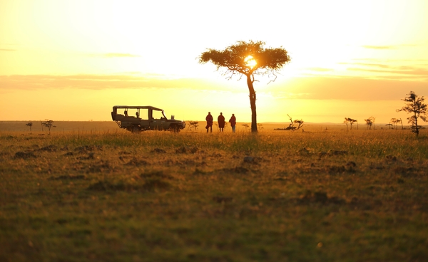 A jeep and a group of people with the sunset behind a tree in Savannah