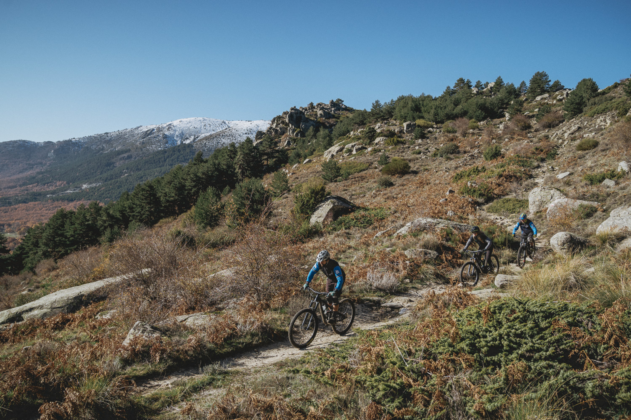 Mountain biker riding trail 
