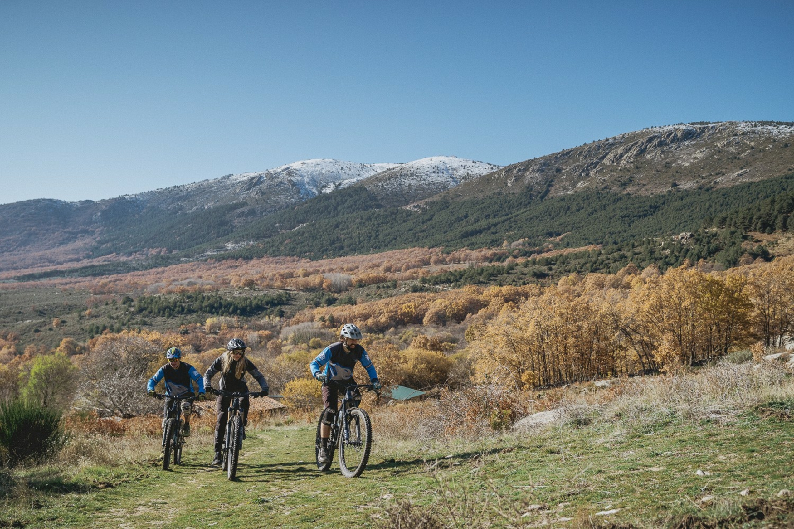Mountain bikers riding in beautiful landscape
