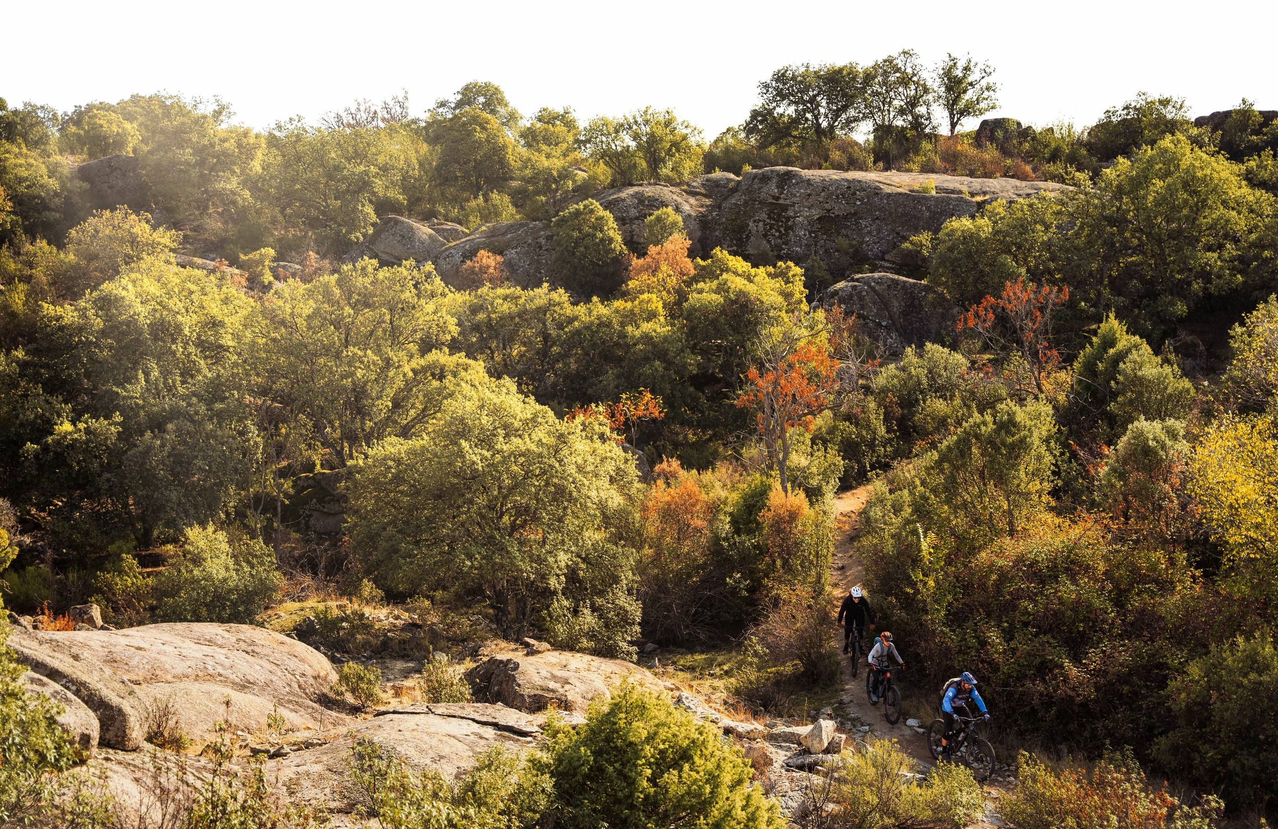 Mountain bikers riding downhill on trail 