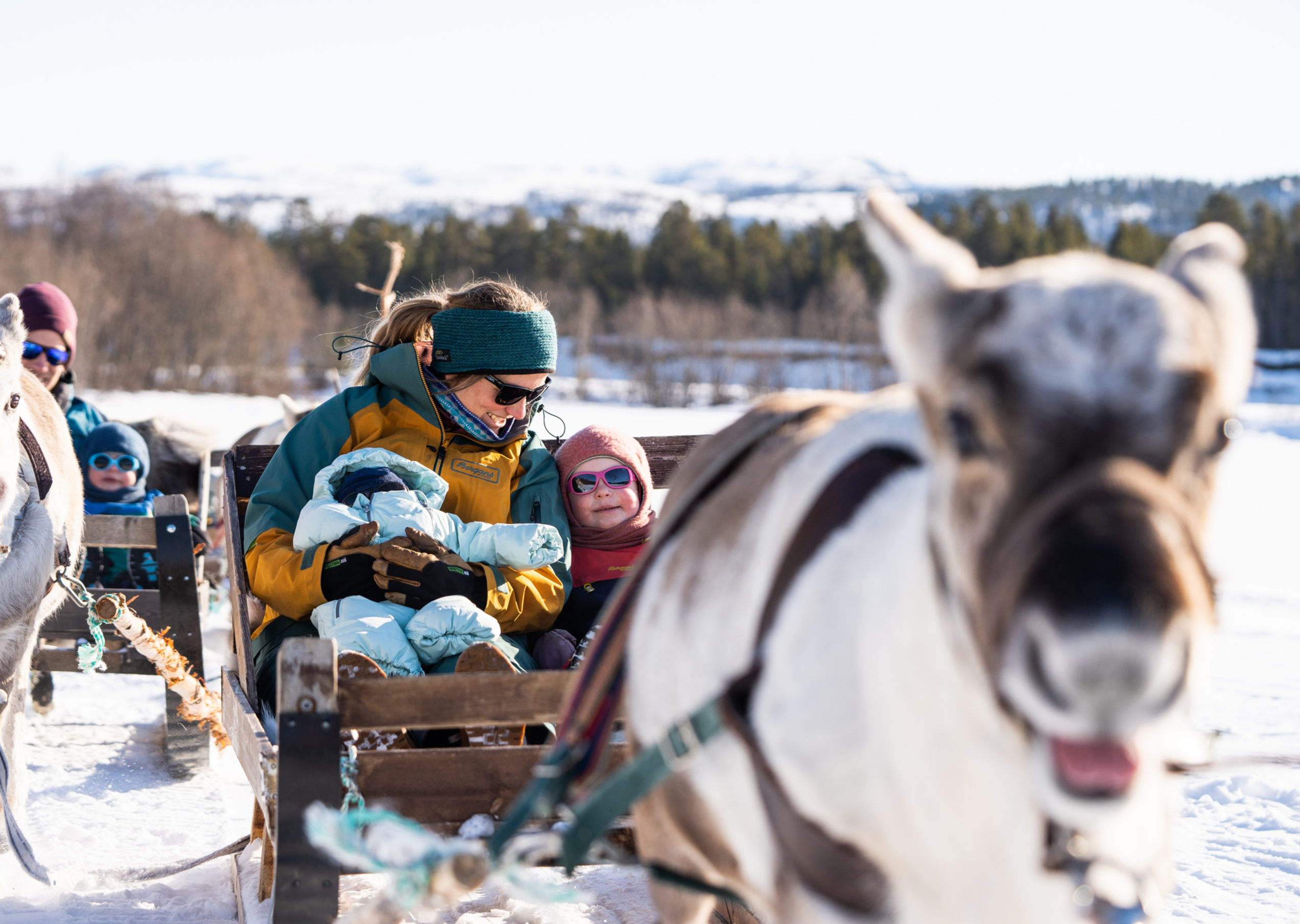 A family on a cart being carried by a reindeer