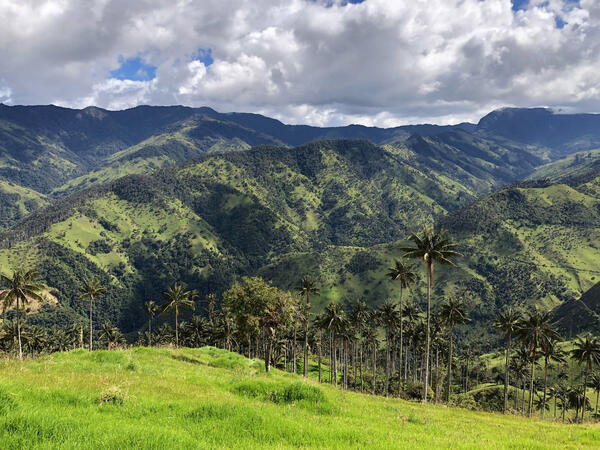 Magical Colombia