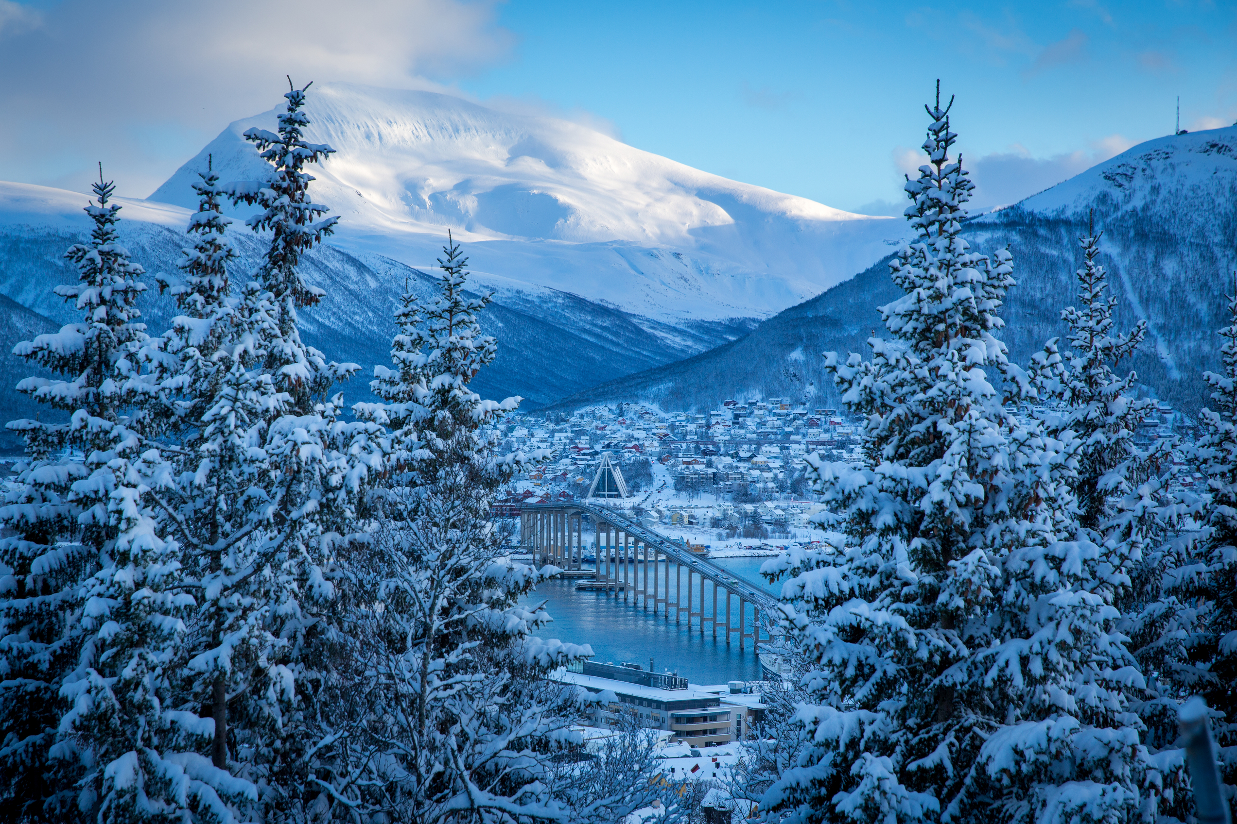 Snow covered mountain with houses and trees in front
