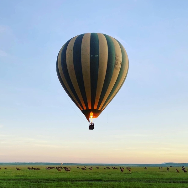 Hot air balloon over wildebeest in the savannah