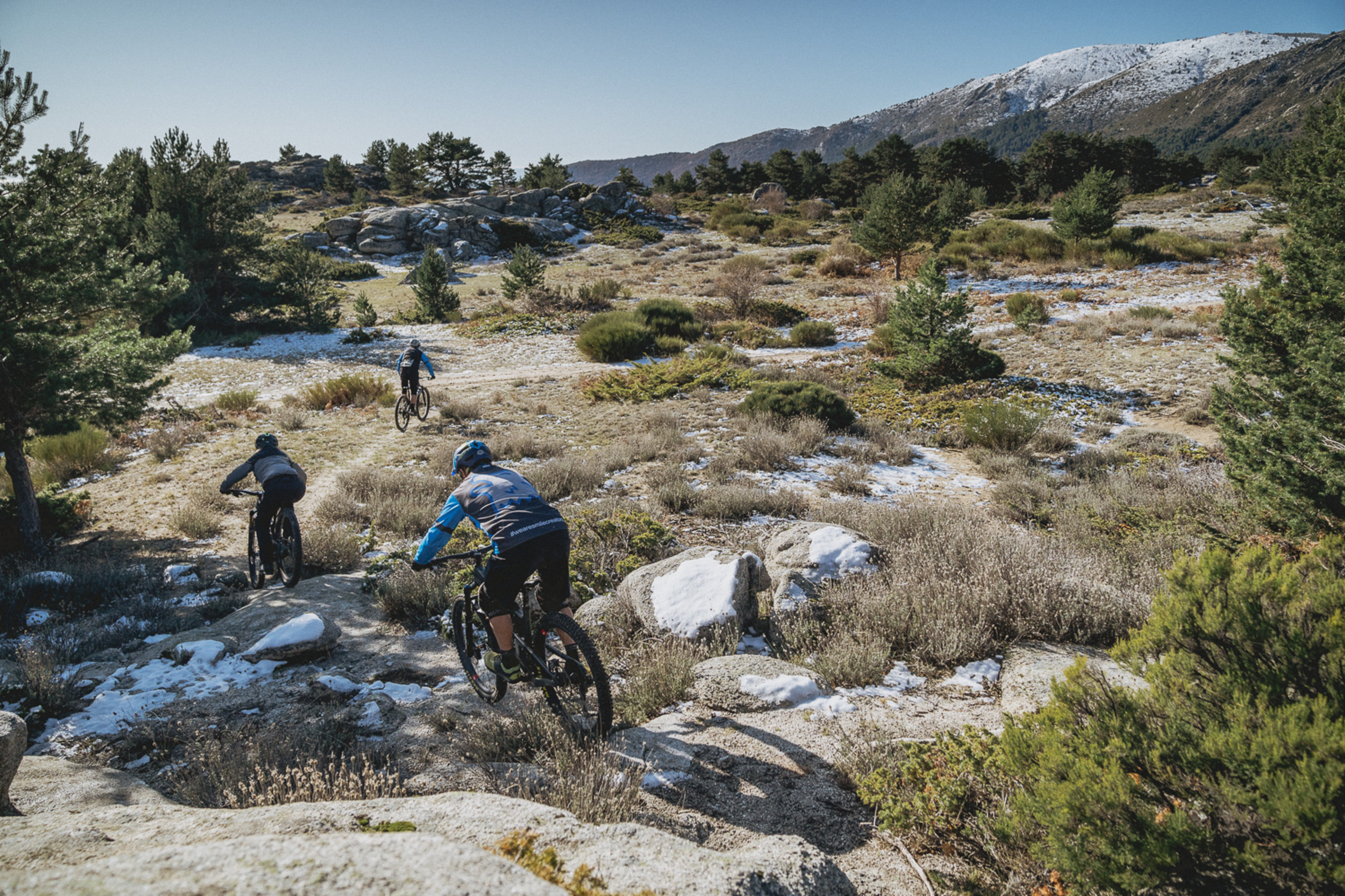 Mountain bikers riding through forest