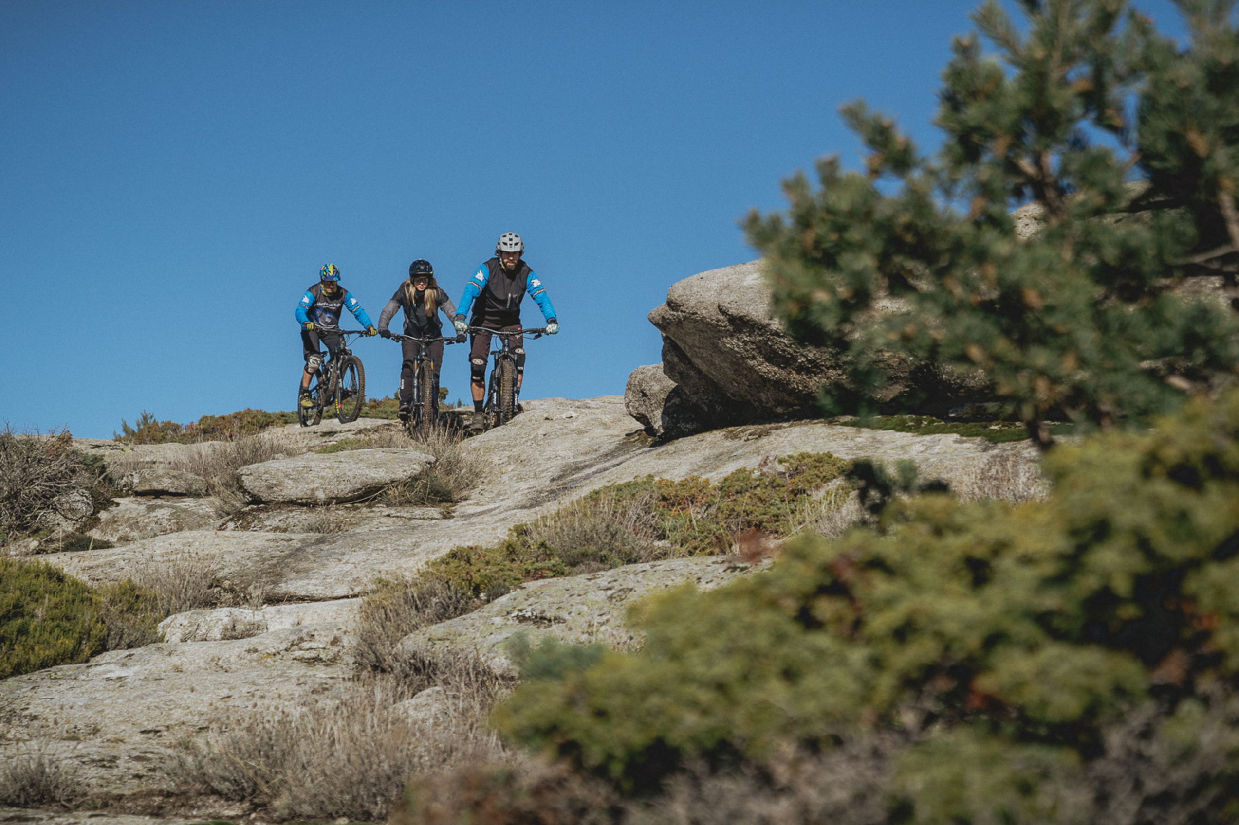 Mountain bikers on trail