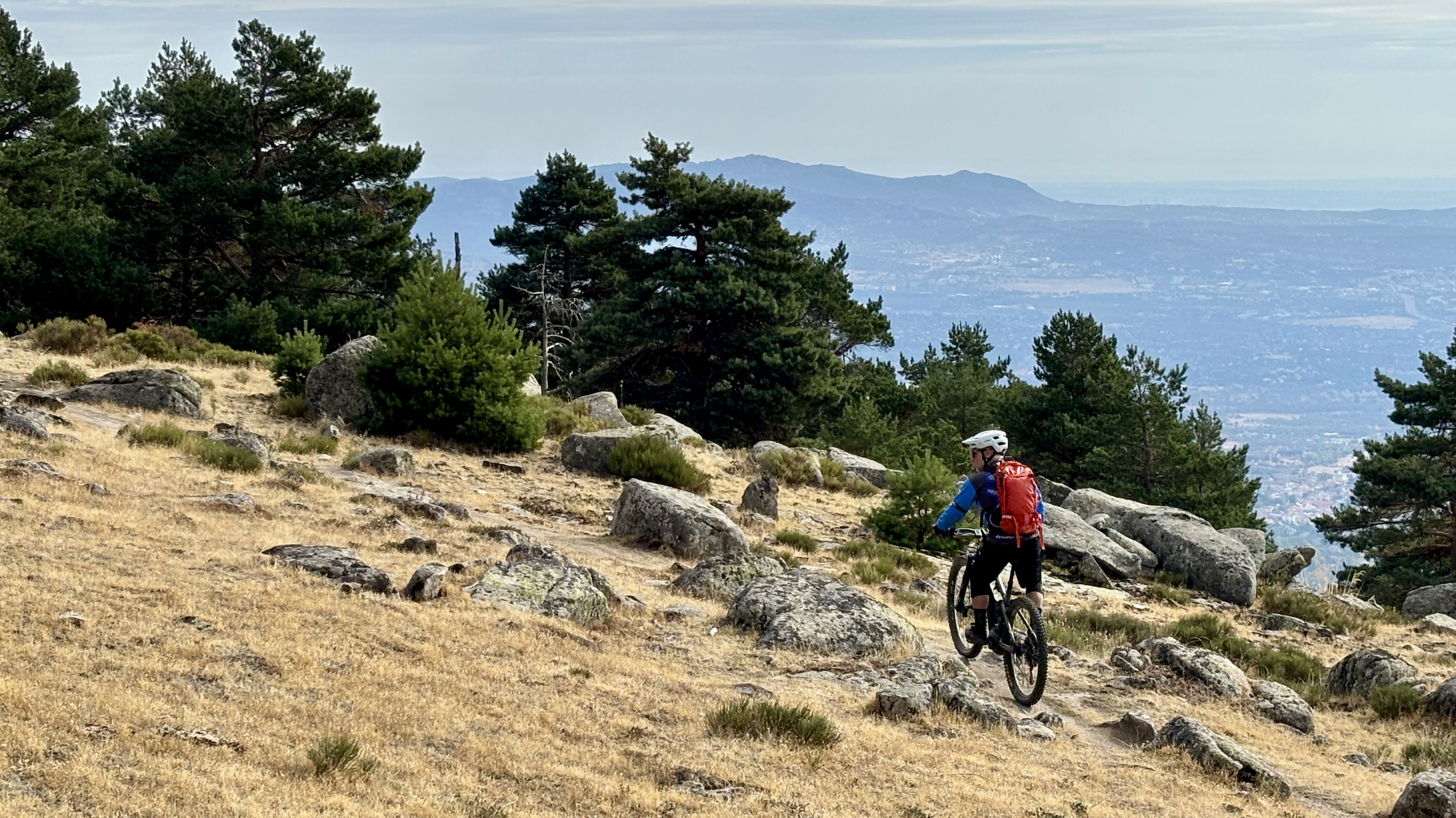 Mountain biker riding on trail 