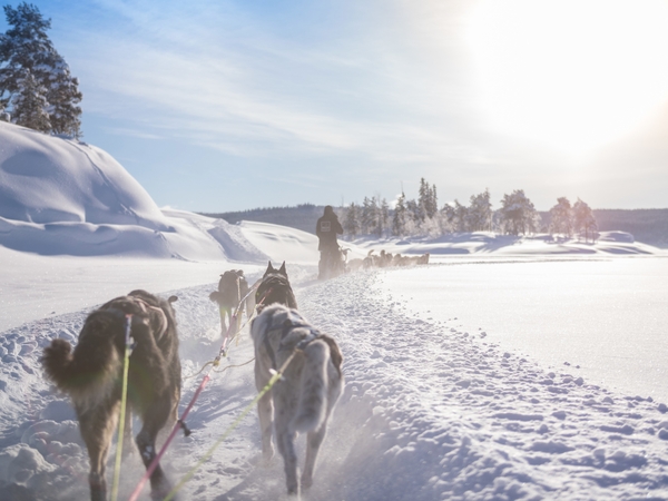 Multi-Activity Week in Jotunheimen and Sognefjorden