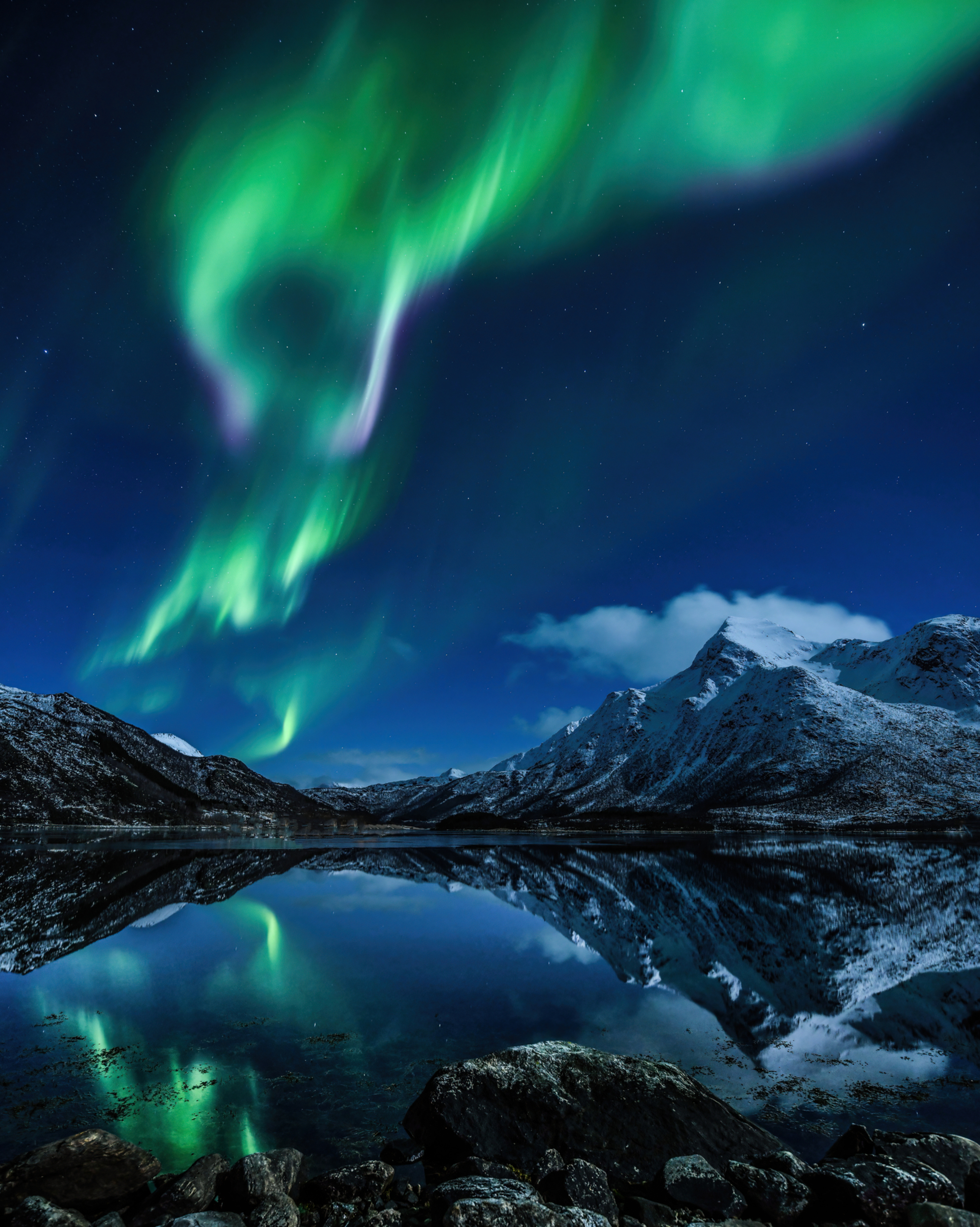 Northern lights over mountains and ocean