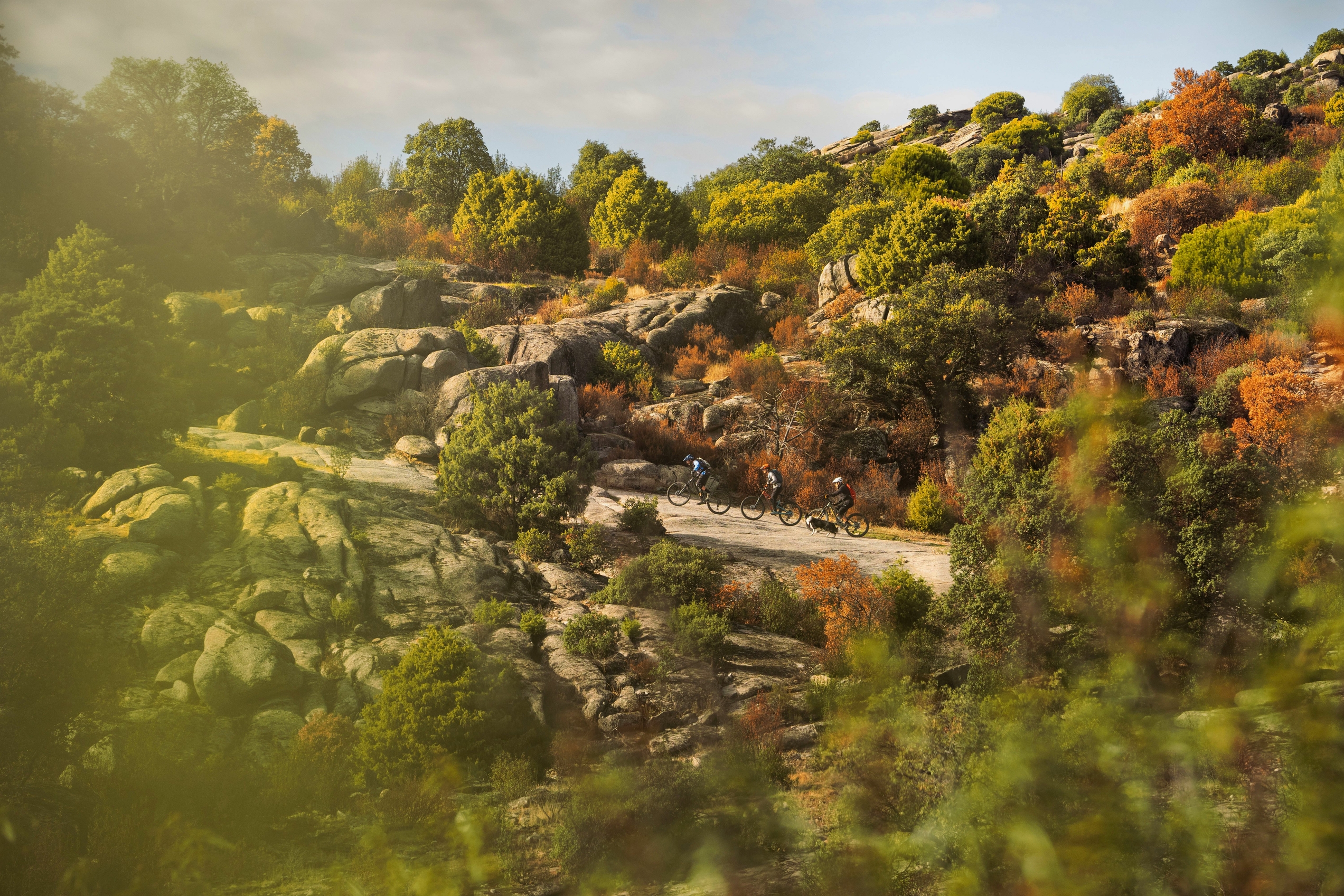 Mountain bikers riding uphill