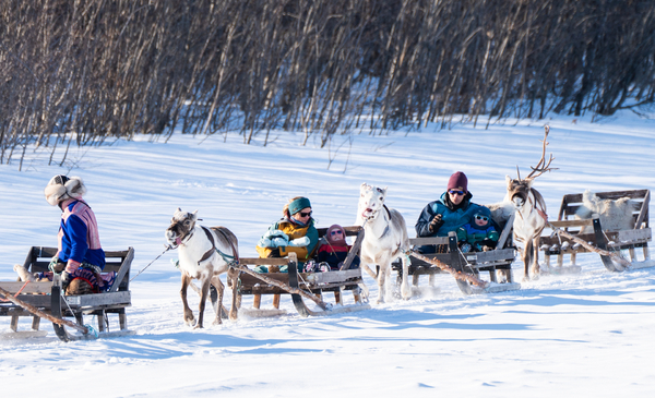 A group of people reindeer-sledding