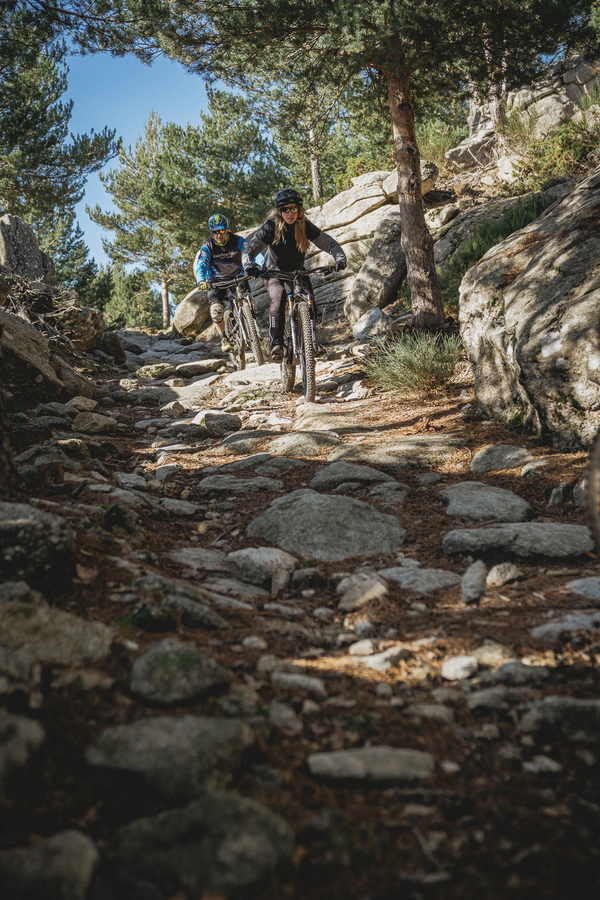 Mountain bikers riding on trail