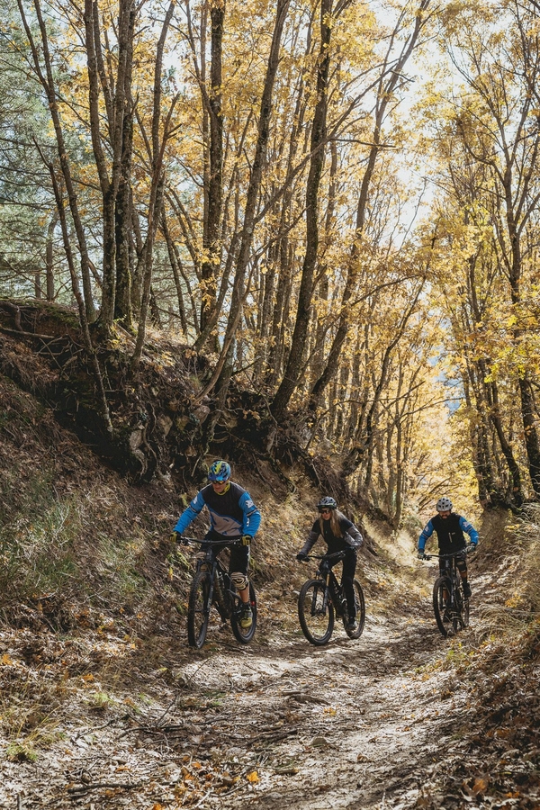 Mountain biker riding trail 