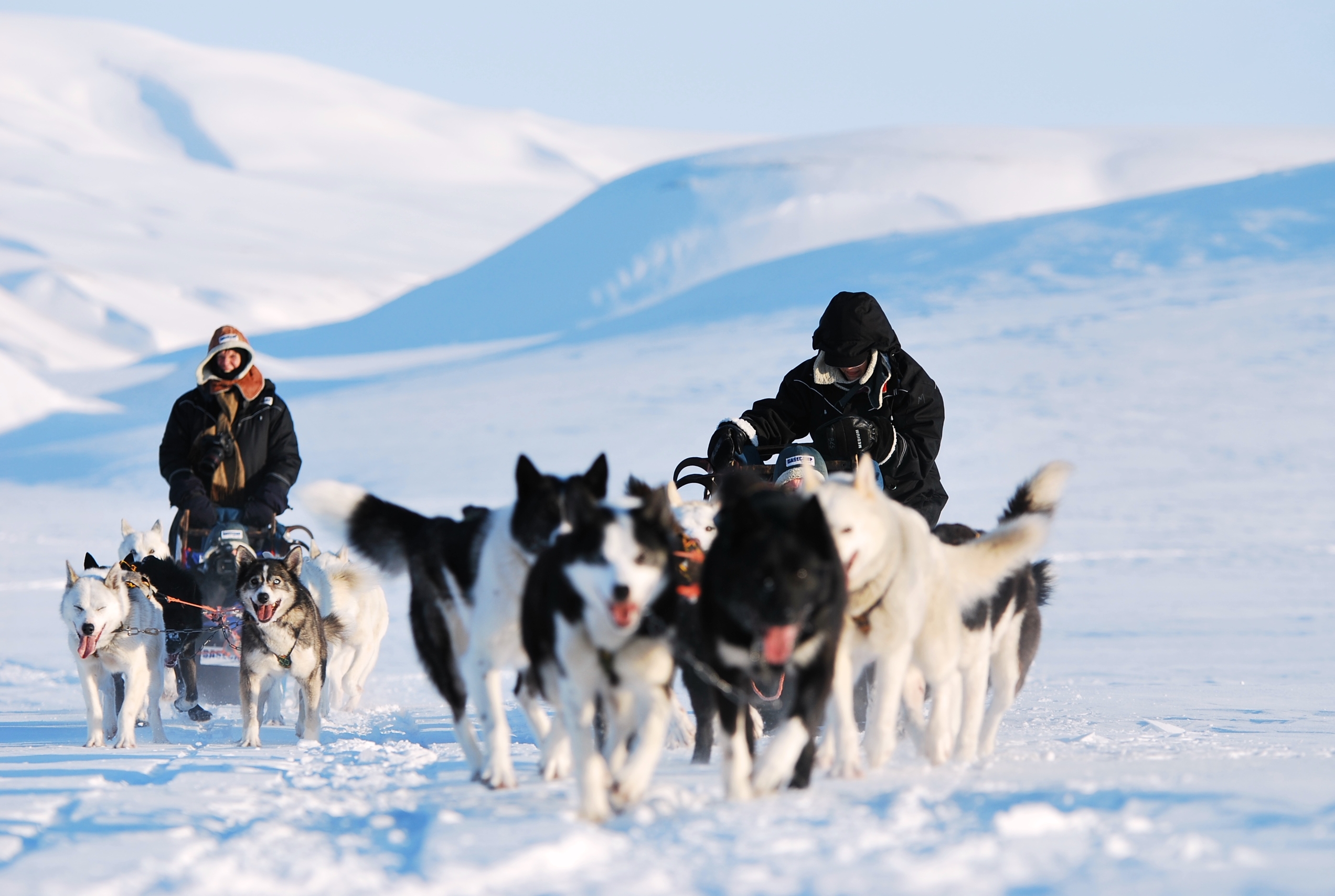 Two people on dog sleds in snowy landscape
