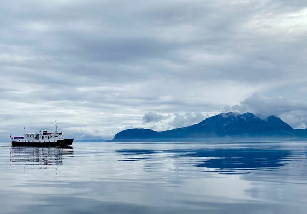 Fjord Visjon - Ski and sail in Lyngen