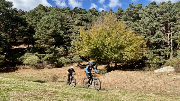 Mountain biker riding trail 