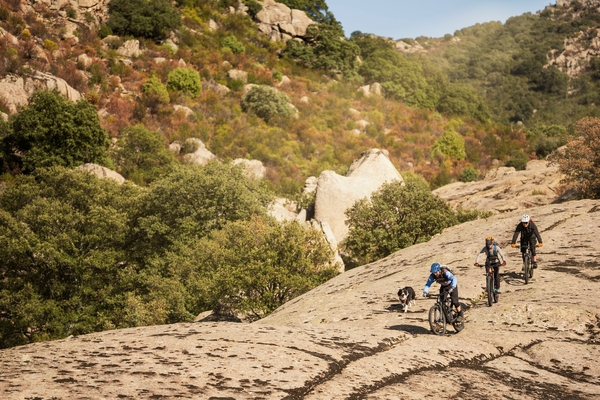 Mountain bikers riding on trail
