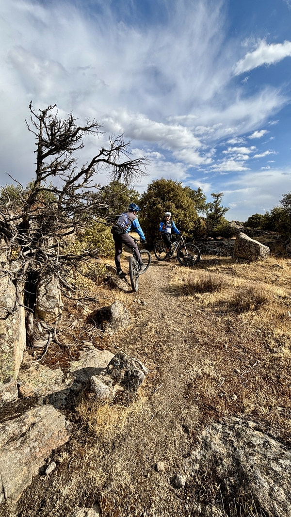 Mountain biker riding trail 