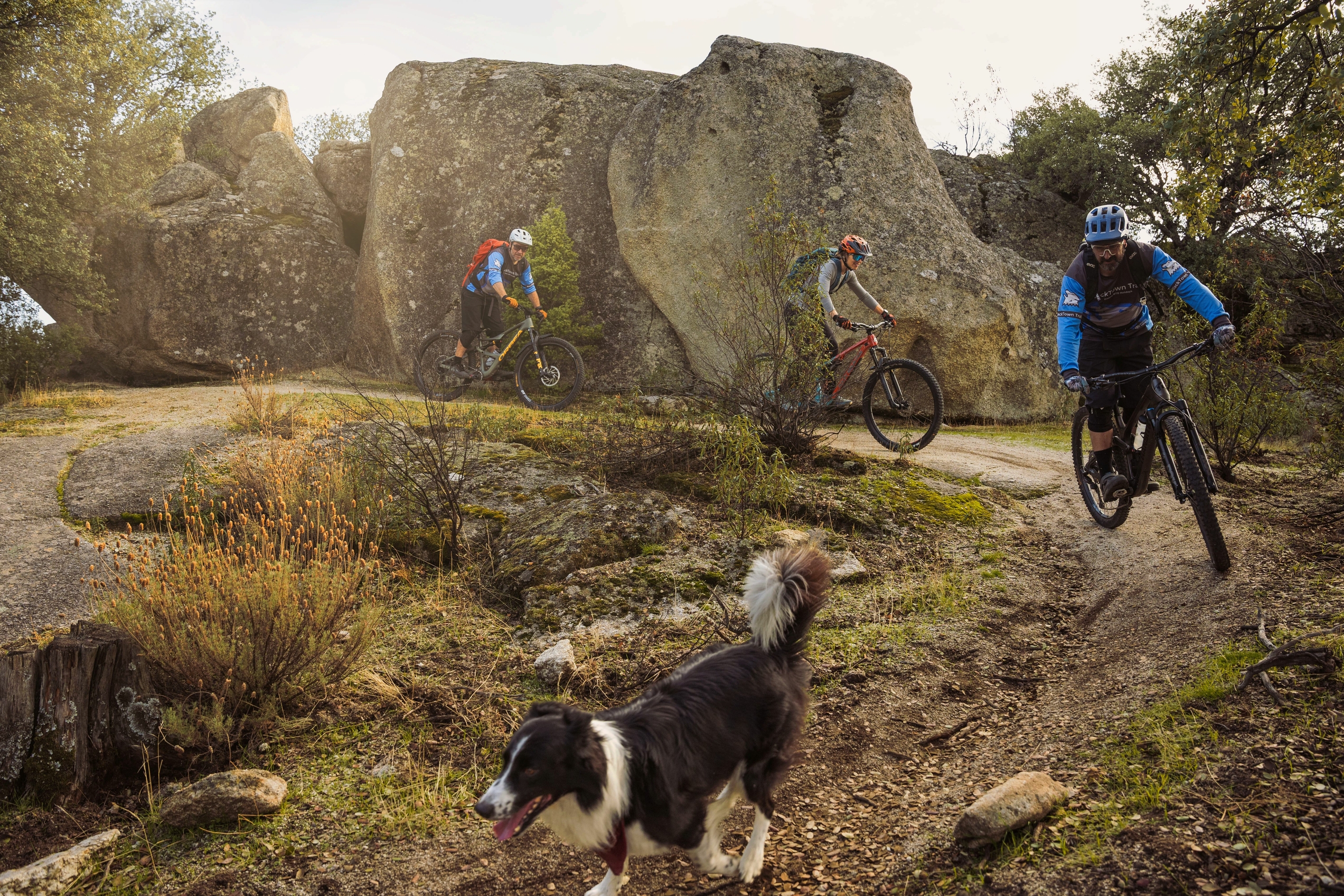 Mountain bikers riding trail