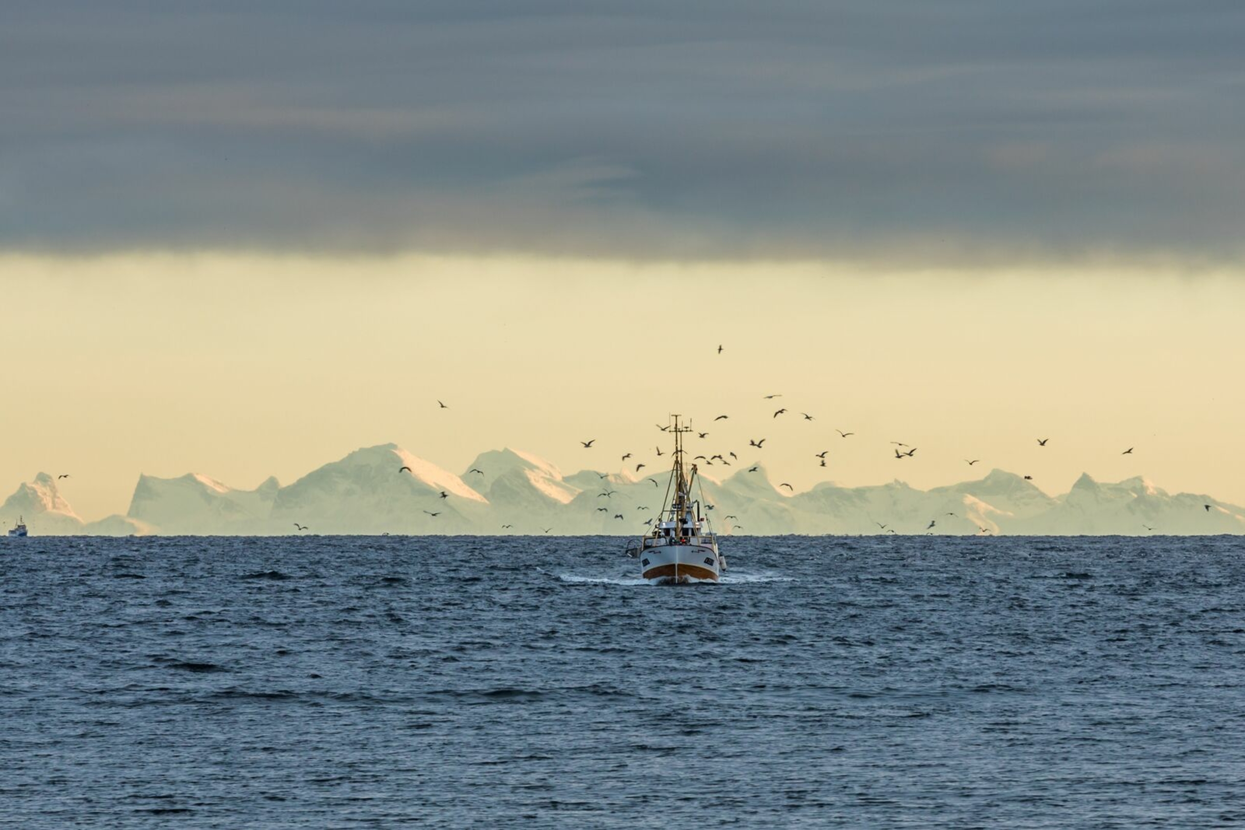 Fishing boat with seagulls and mountains behind