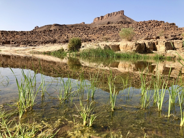 River in a desert with a mountain behind it