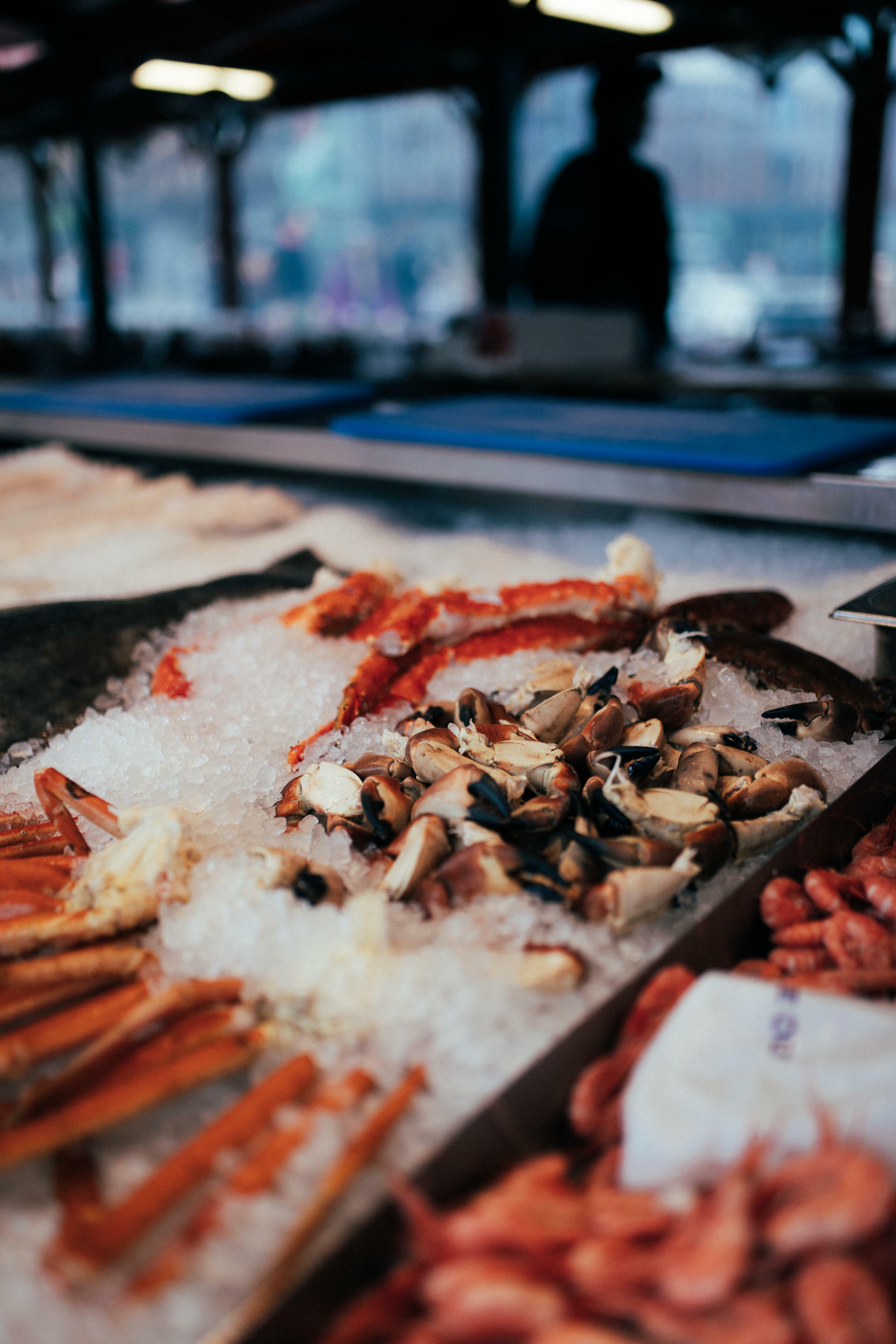 Icons of the Norwegian Fjords@LeoSolland (57)