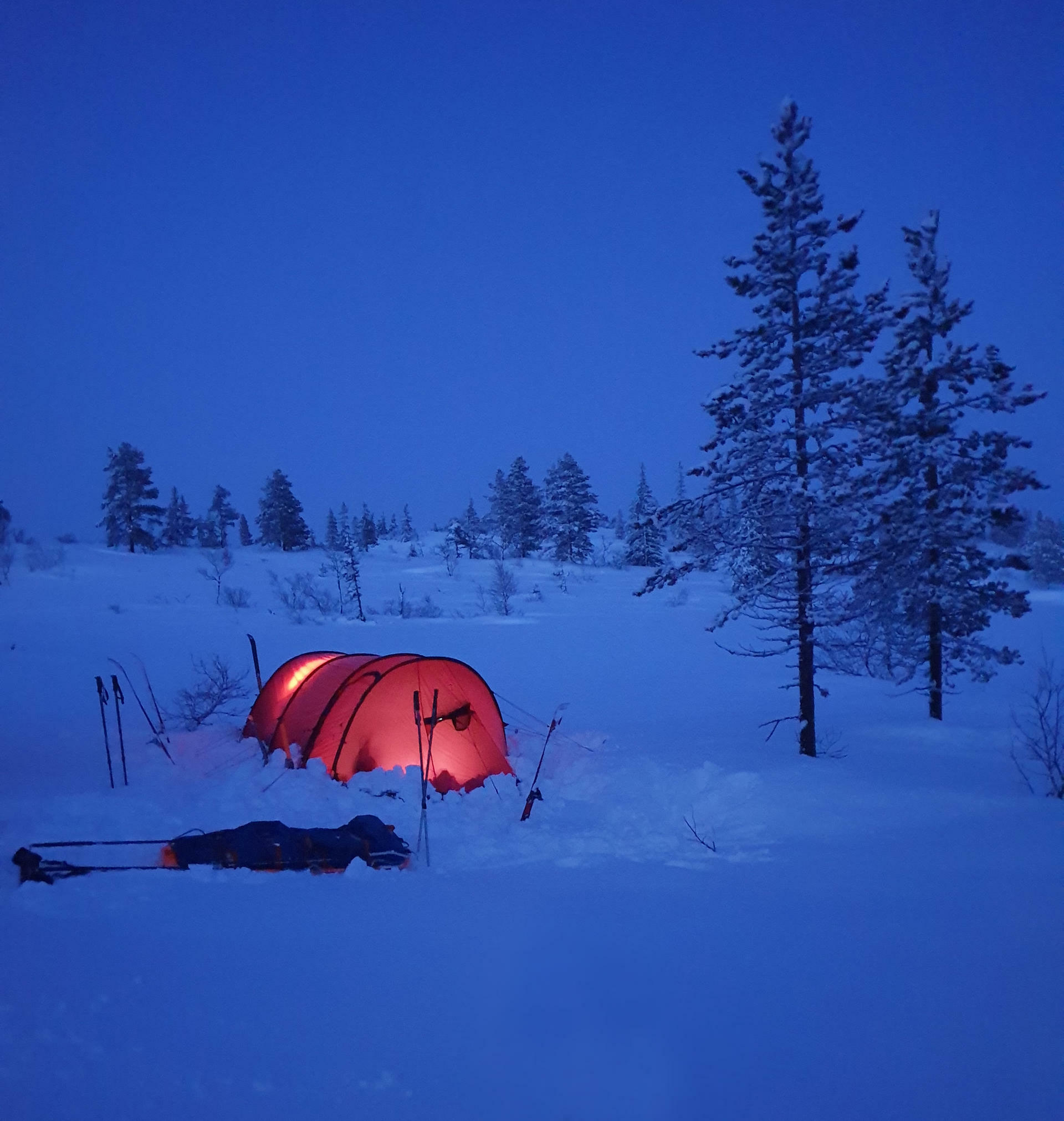 Norge på Tvers@EliseKoren(12)