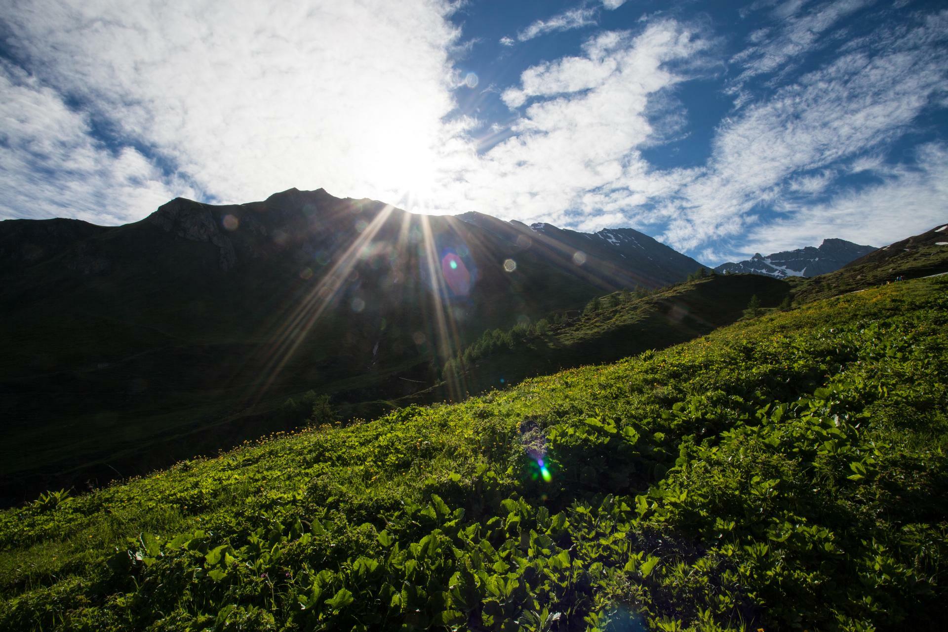 FjellturRundtMontBlanc-2017@MagnusHendis (22)