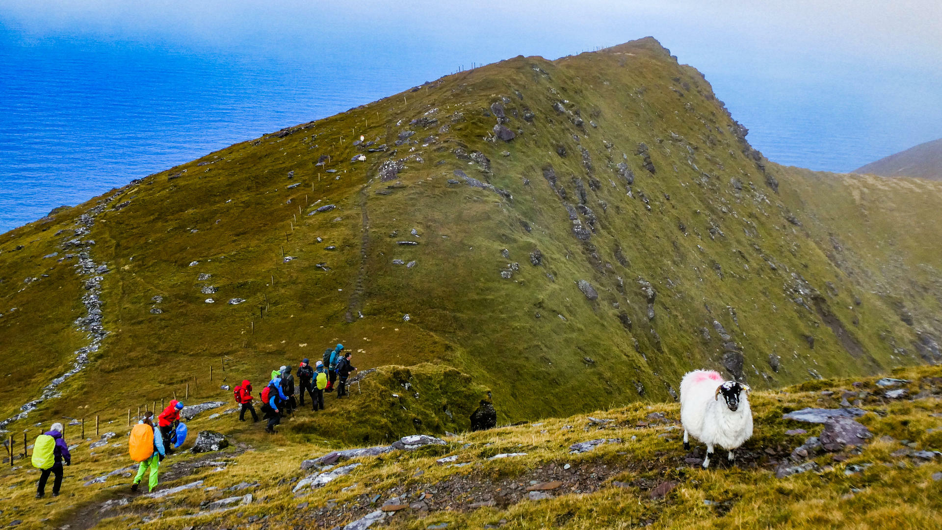 FotturIrland-2018@HanneHollås (35)