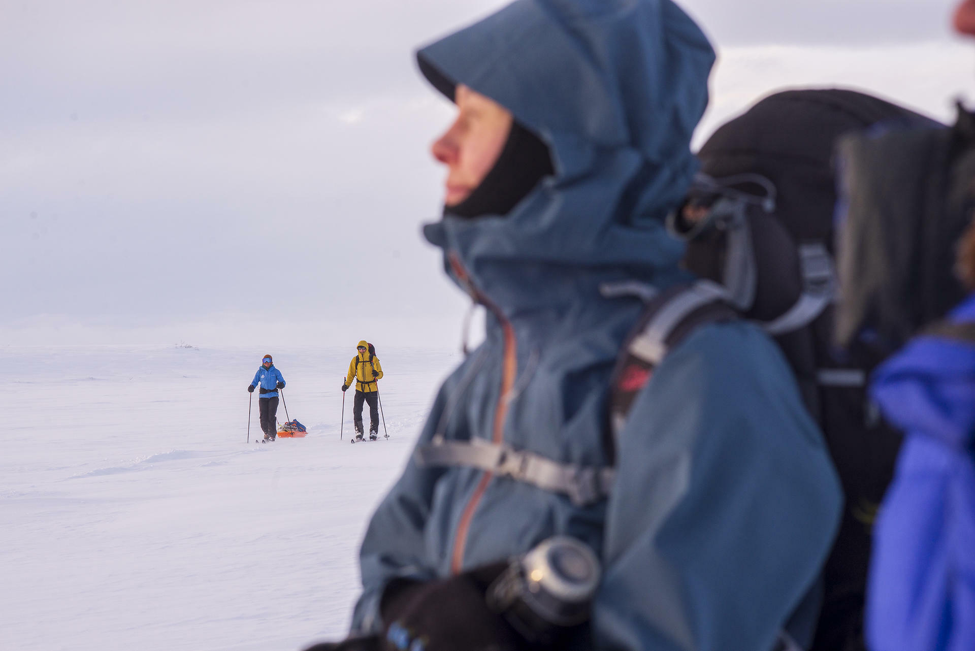Finnmarksvidda på Ski@JørnAreLongfjeld(31)