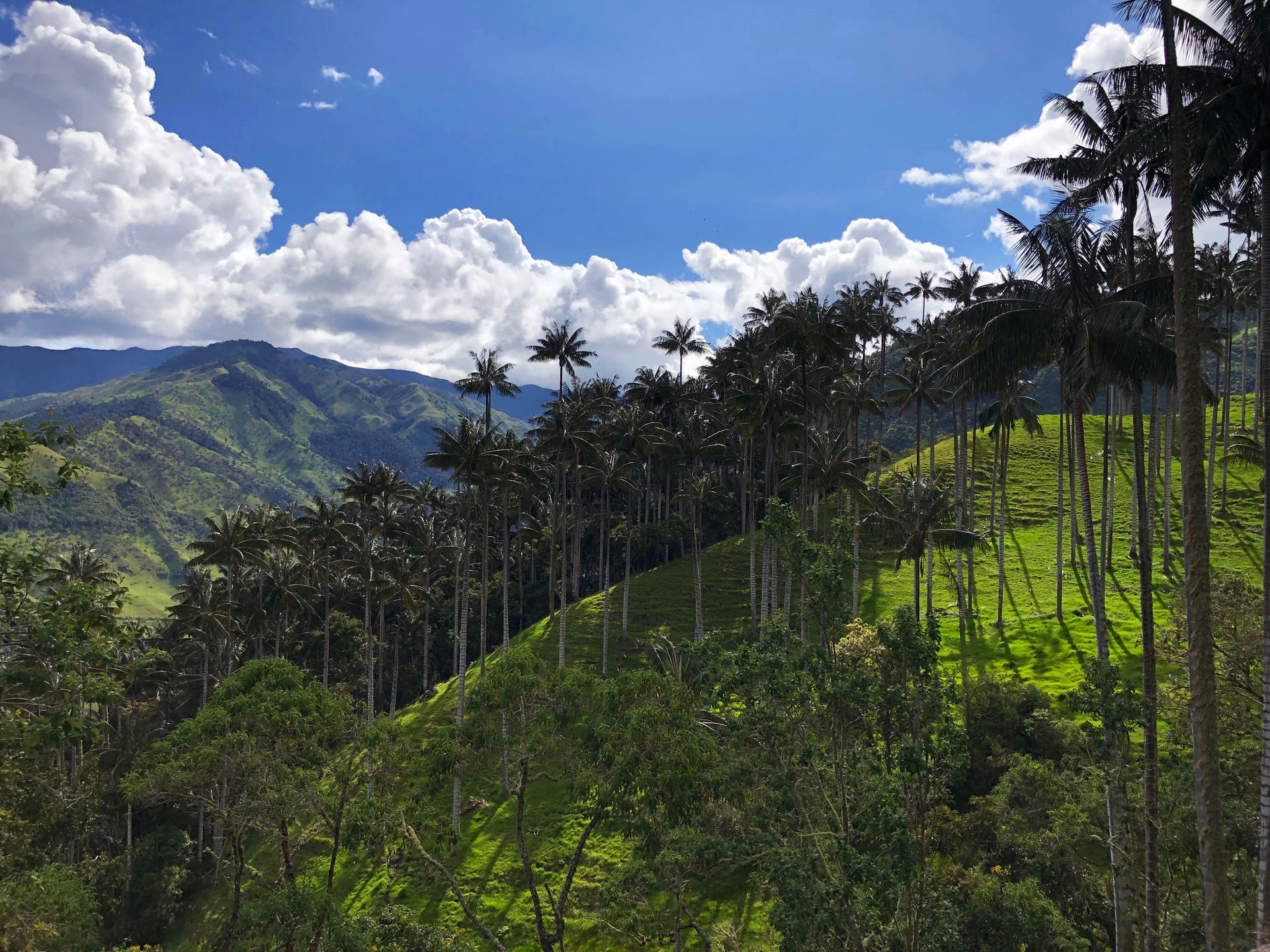 Colombia-2023@Sine Madsen(8)