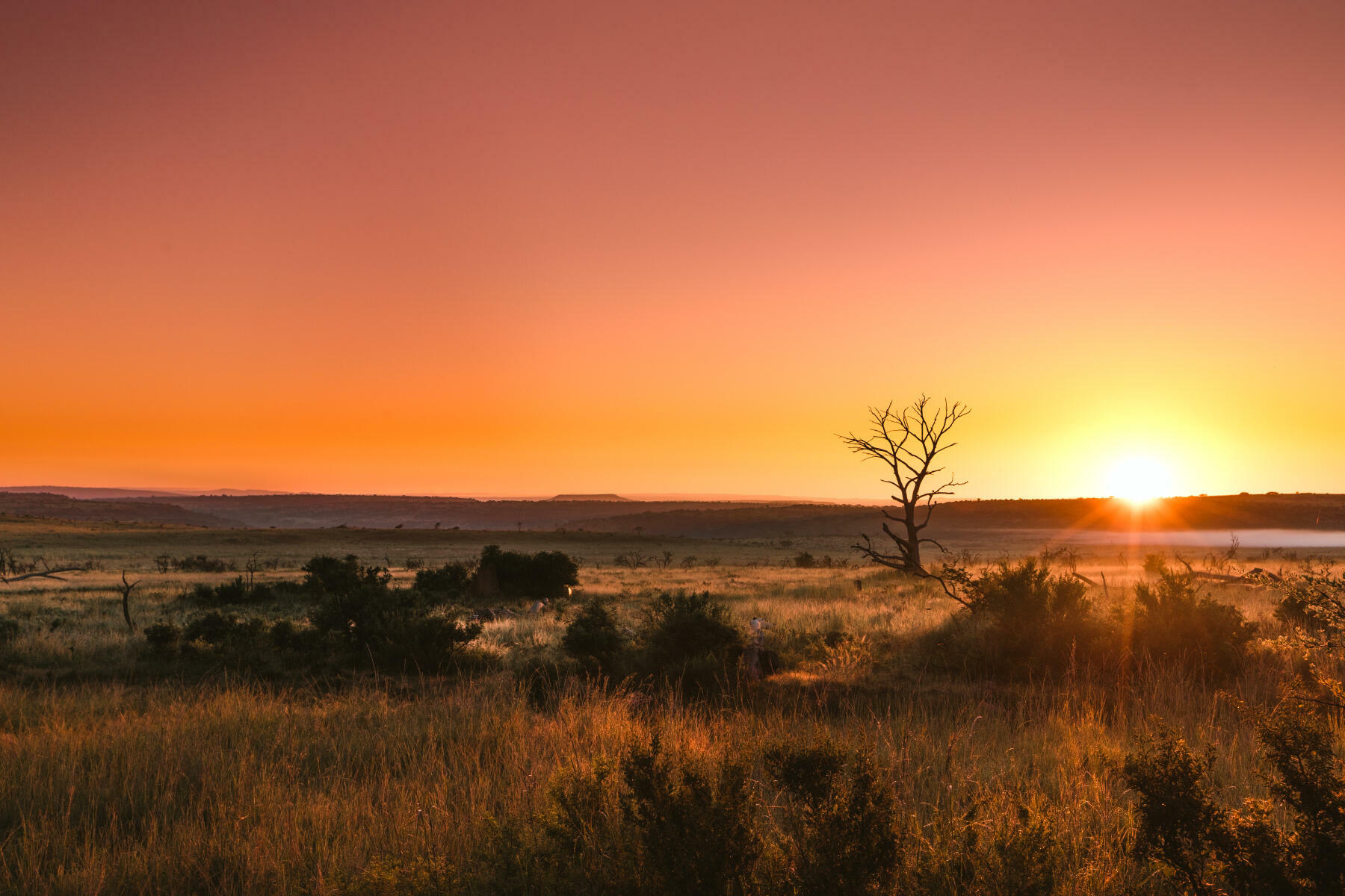 South Africa-2024@GetAfricaTravel (52)