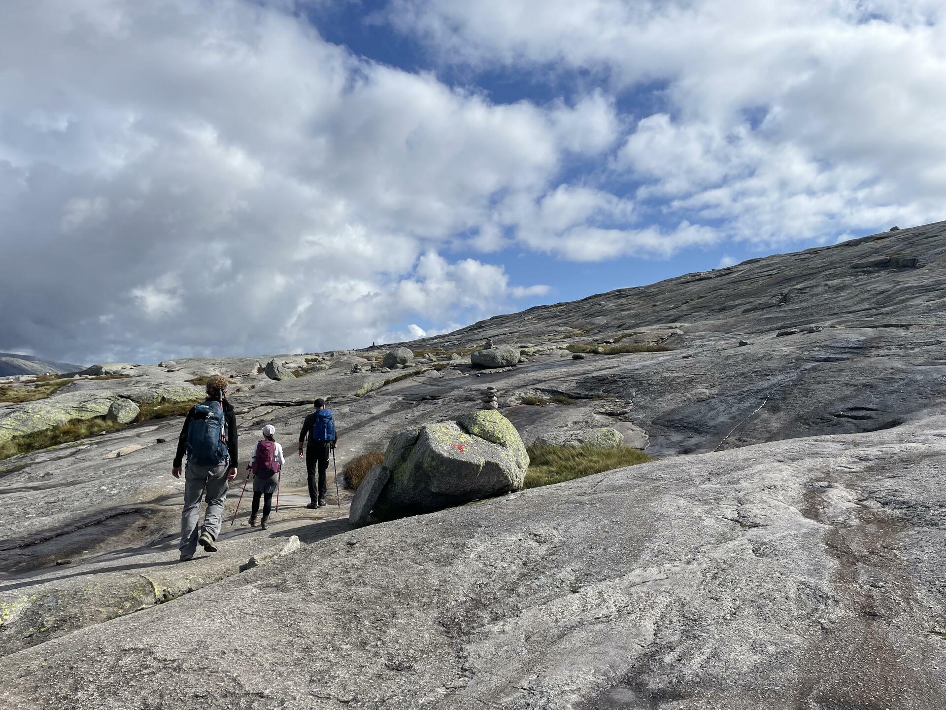 Icons of the Fjords@FridaHalvorsen 4