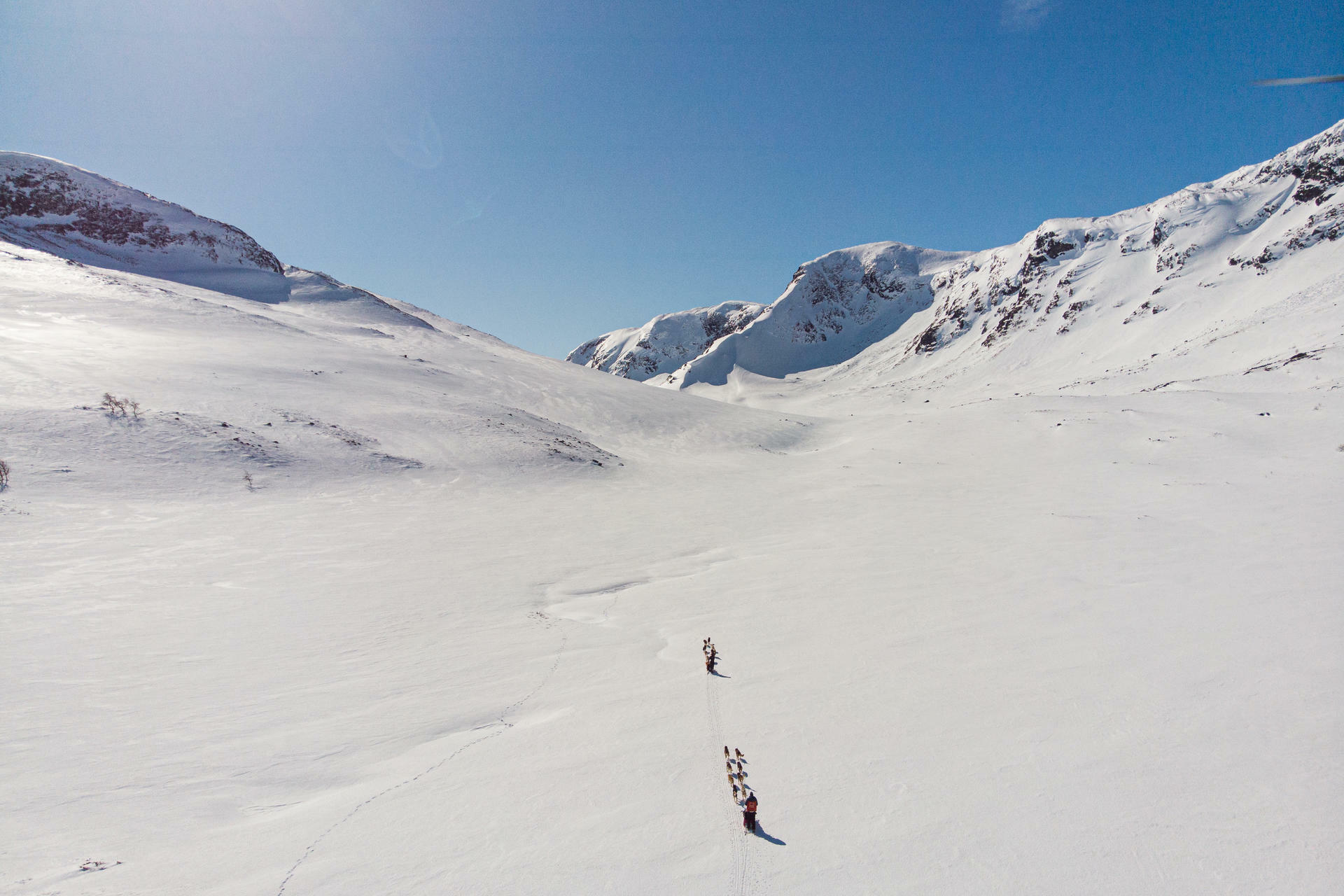 Hundesledetur i Jotunheimens Bakgård@BeitoHusky(8)