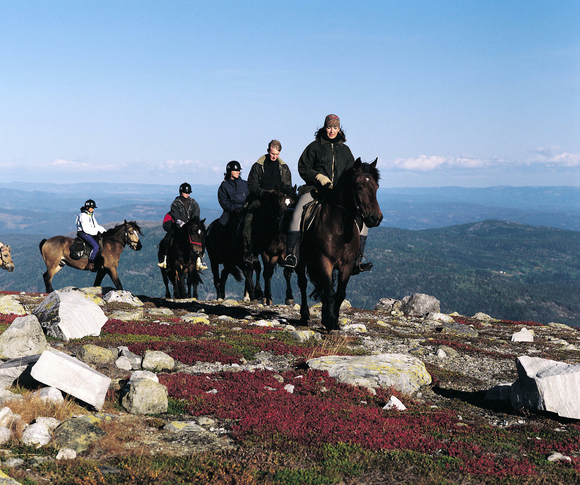 Norefjell  fjell  ridning  hester  dyr  natur  himmel  fjell_Pål Bugge - VisitNorway.com