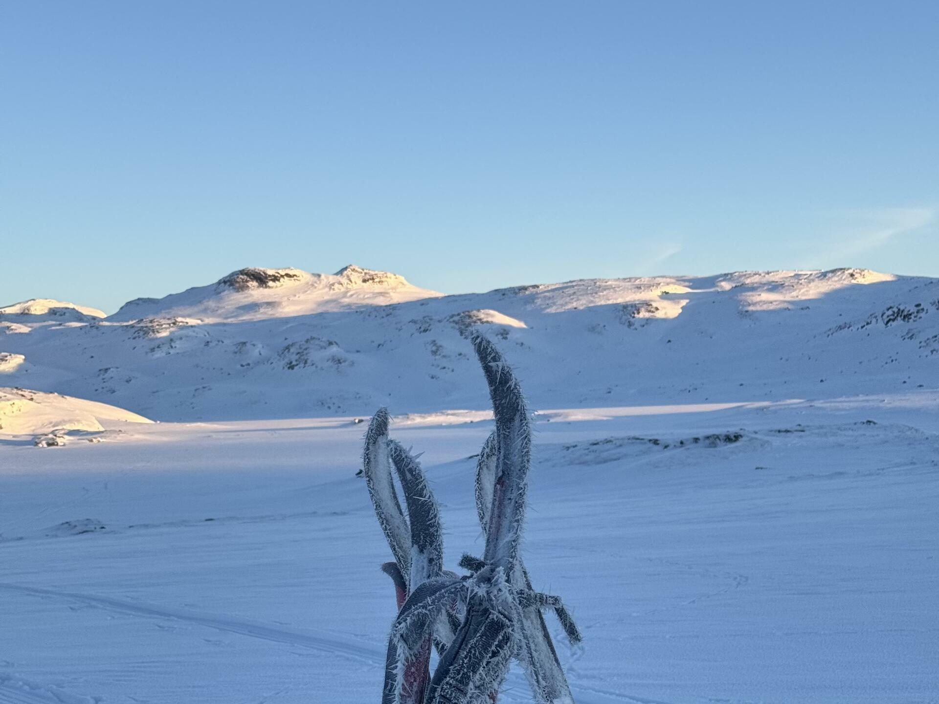 Hardangervidda på langs 19@Jørgen Brøto Torland