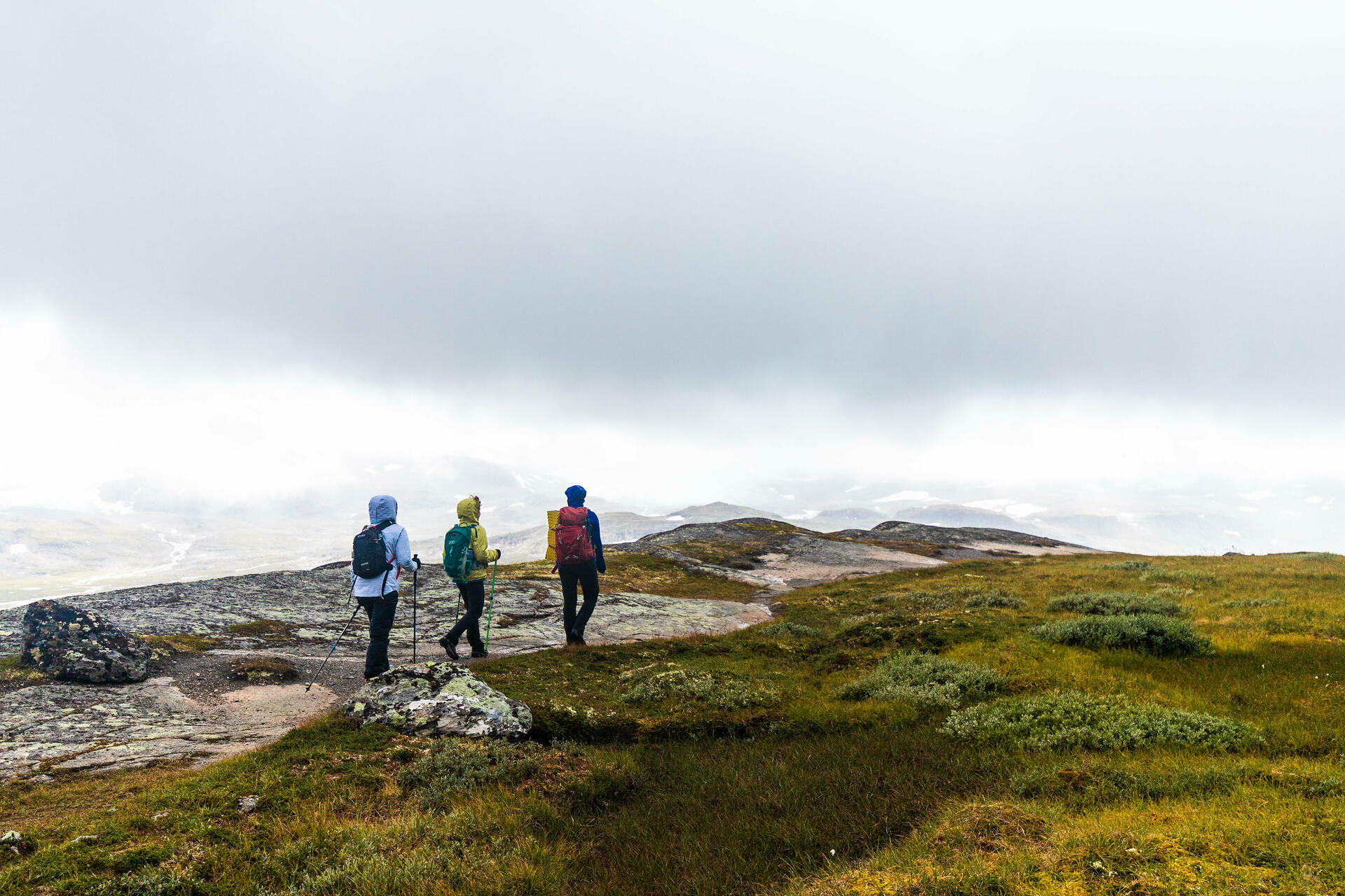 Hiking biking and kayaking in Fjord Norway-2018@ThorHåkonUlstad (47)