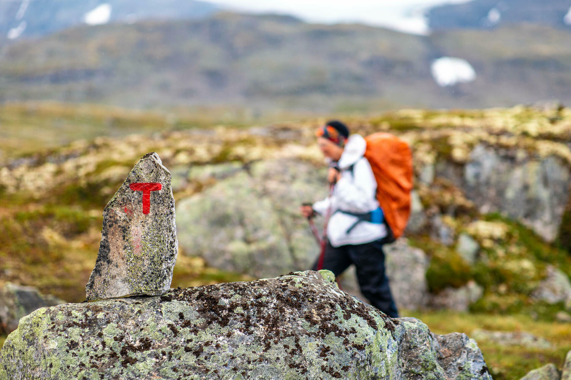Hiking biking and kayaking in Fjord Norway-2018@ThorHåkonUlstad (57)