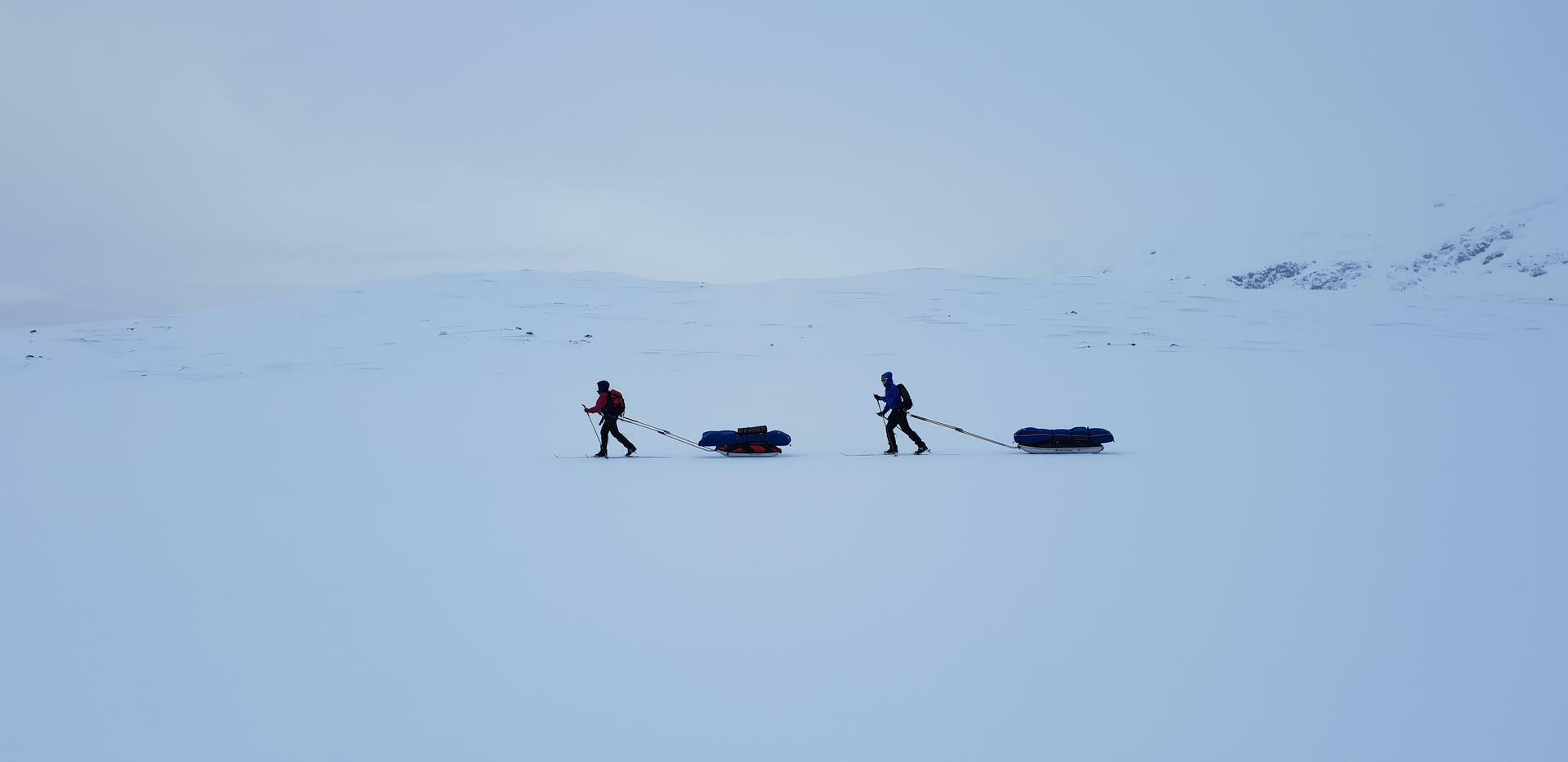 Norge på Tvers@EliseKoren(3)