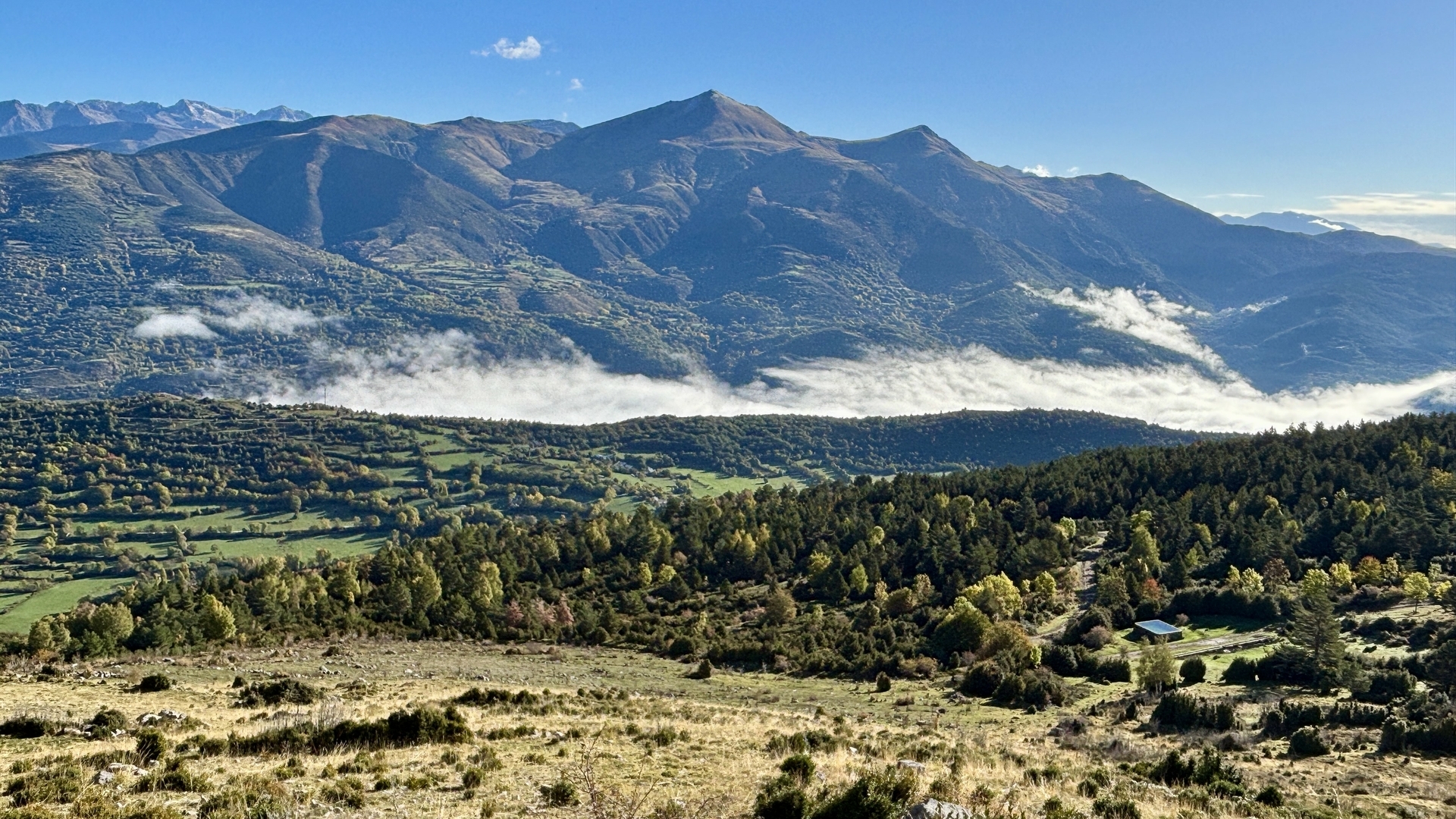 Pyreneene-2025@MikeHolley (26)