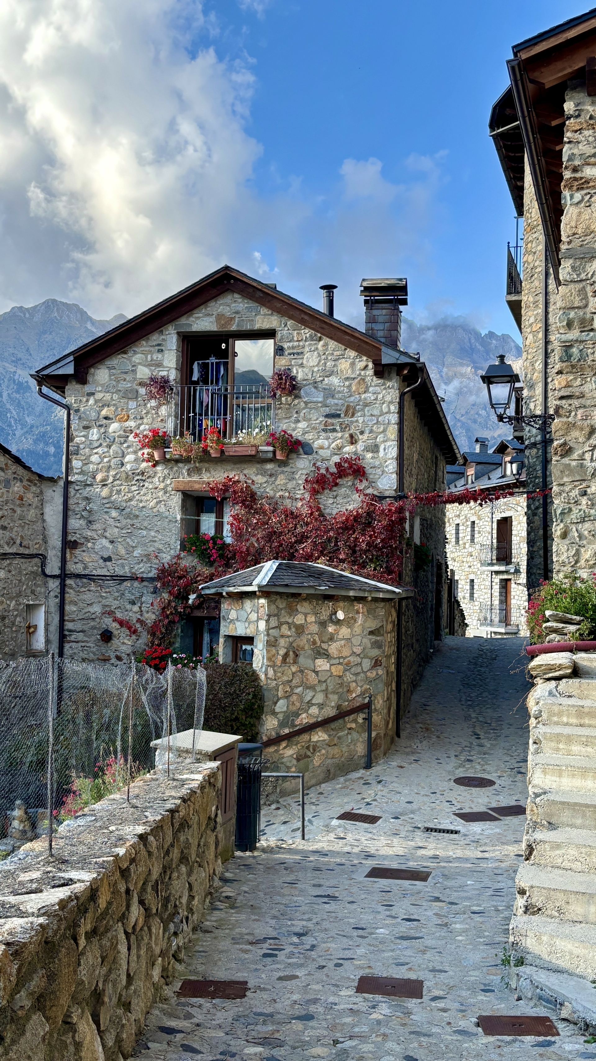 Pyreneene-2025@MikeHolley (13)