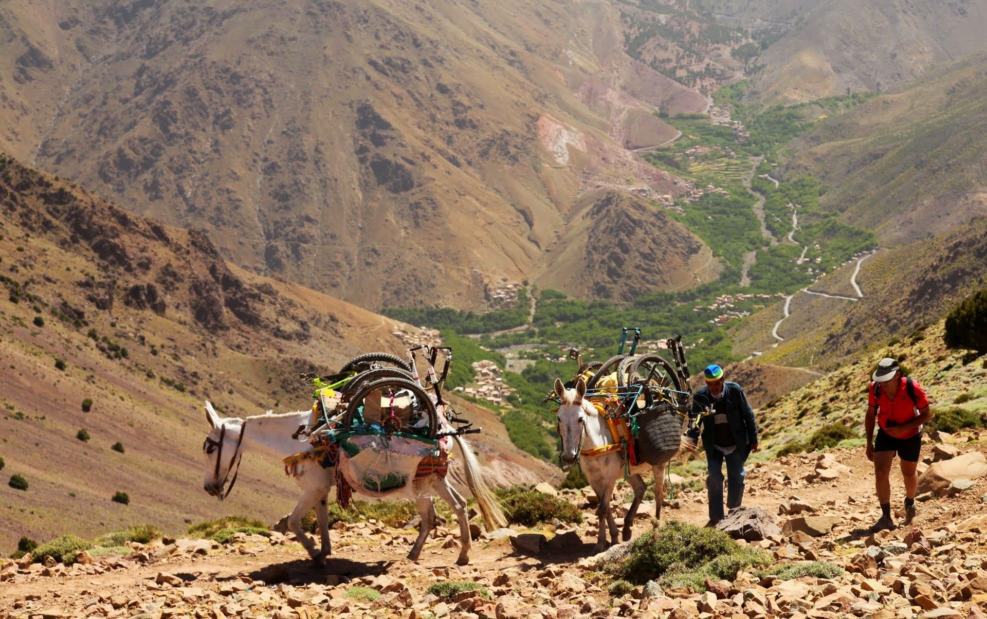 Morocco2025@MountainBikeMorocco (9)