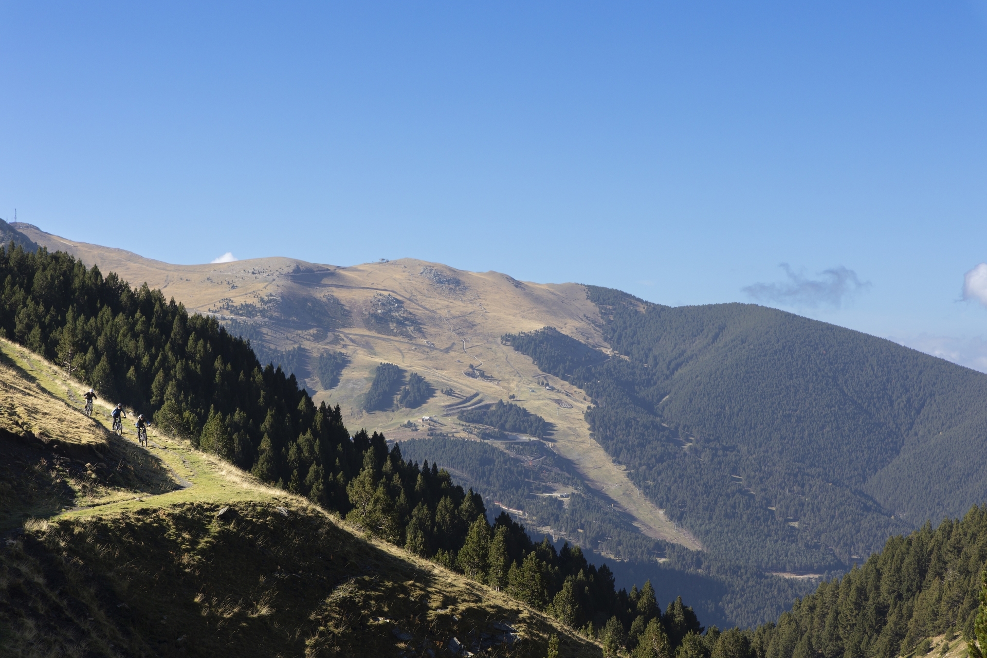 Pyreneene-2025@Blacktowntrails  (13)