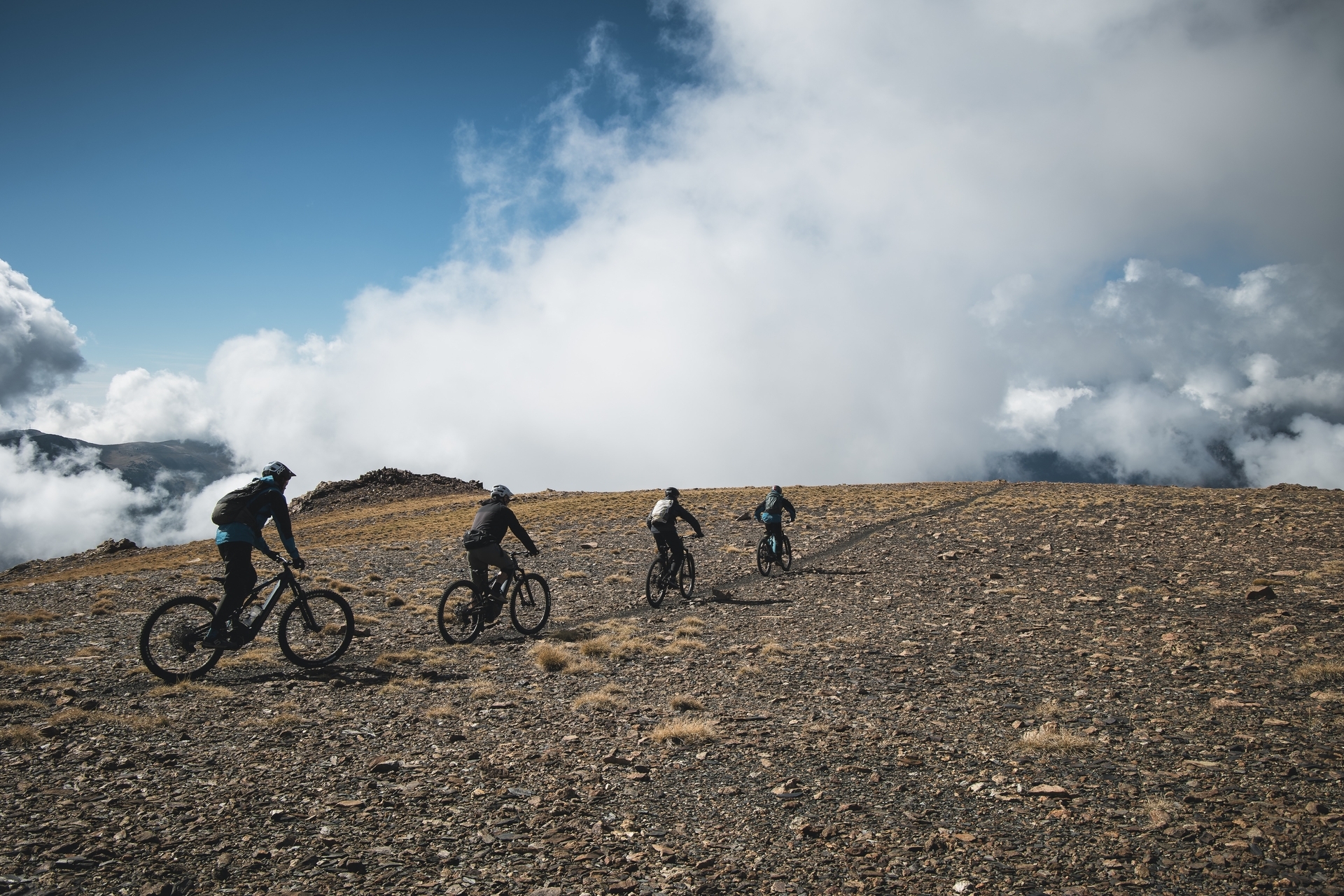 Pyreneene-2025@Blacktowntrails  (4)