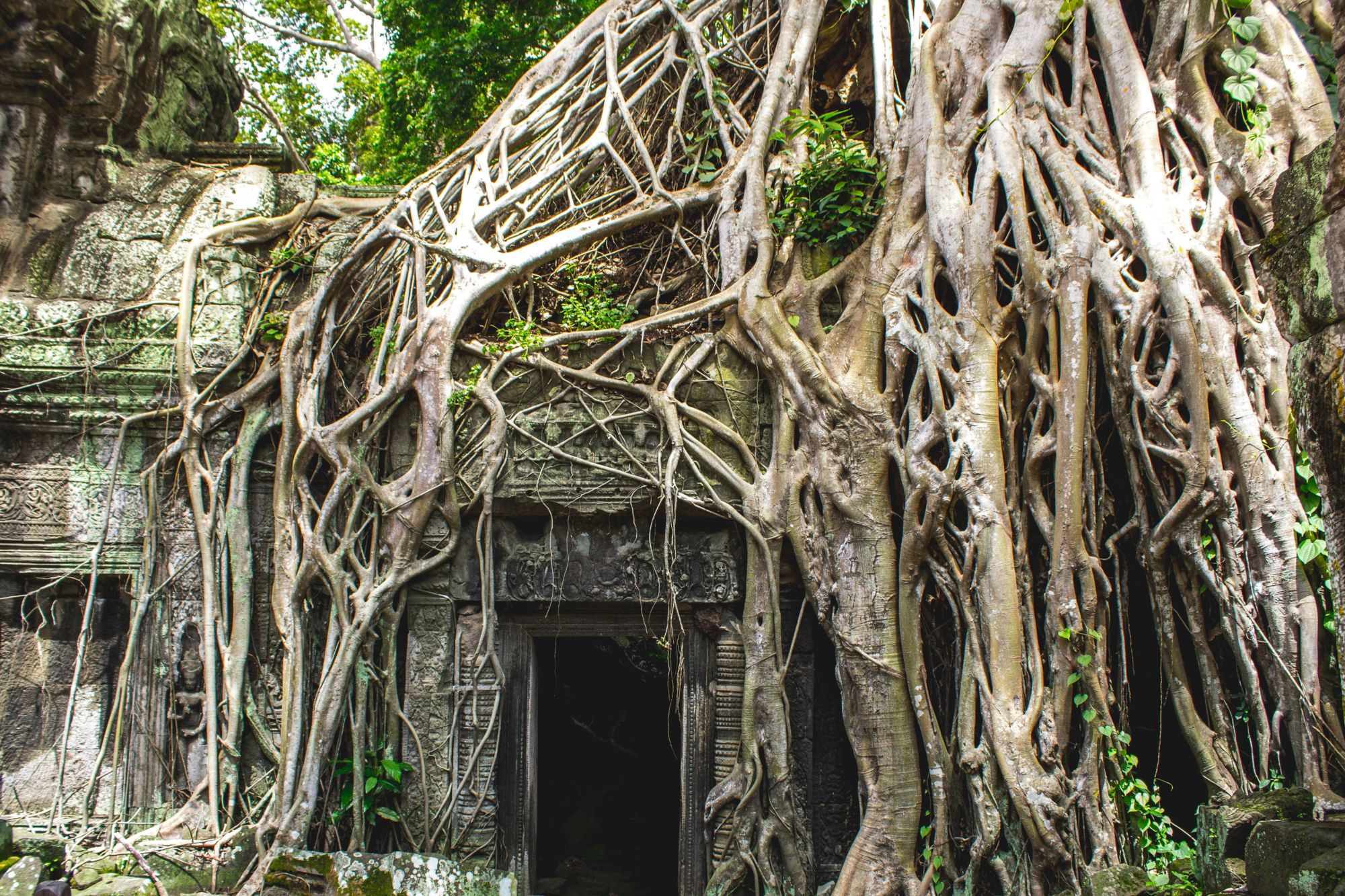 Cambodia-2024@florian-hahn.unsplash