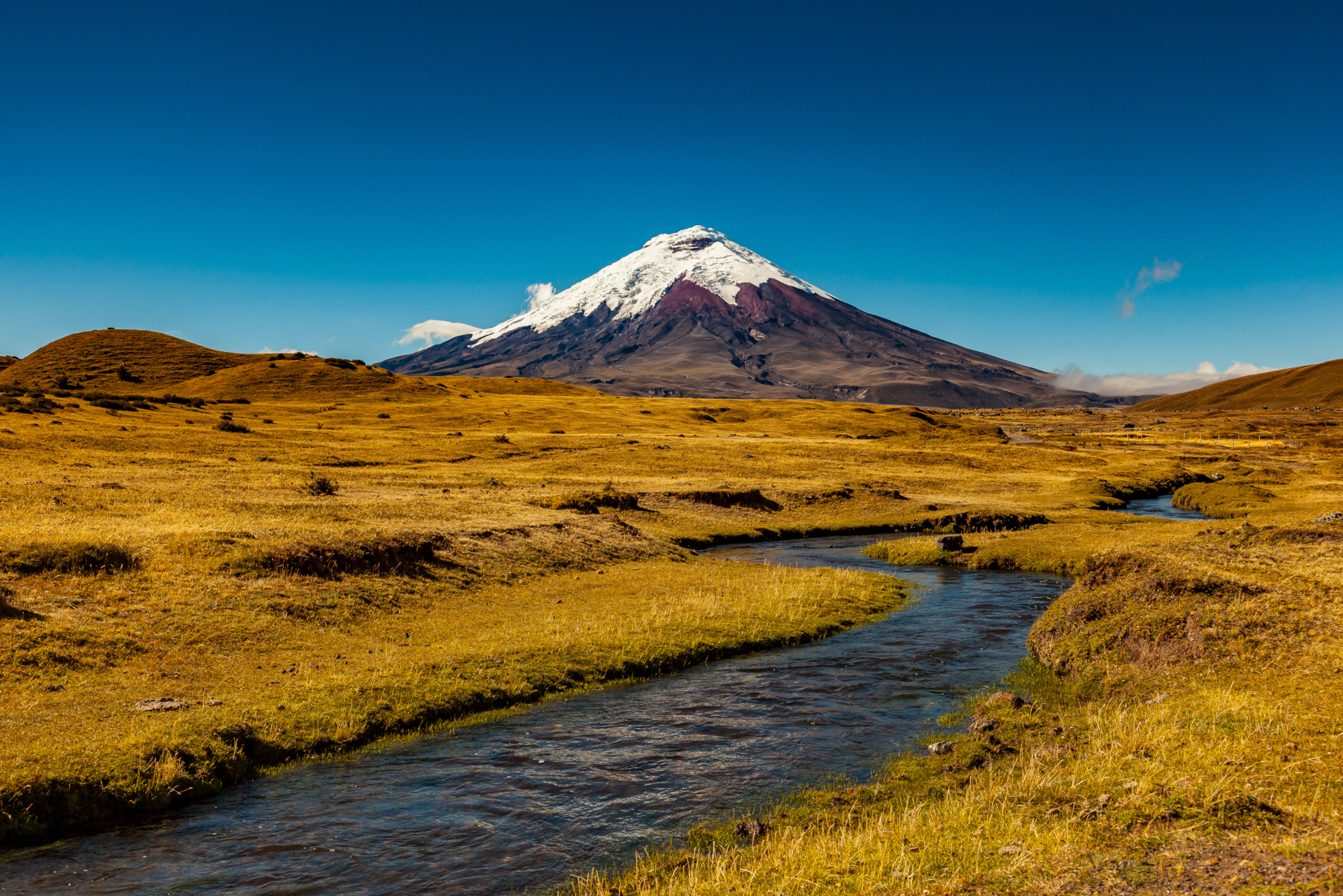 Cotopaxi2-2024@EcoAndesTravel (3)