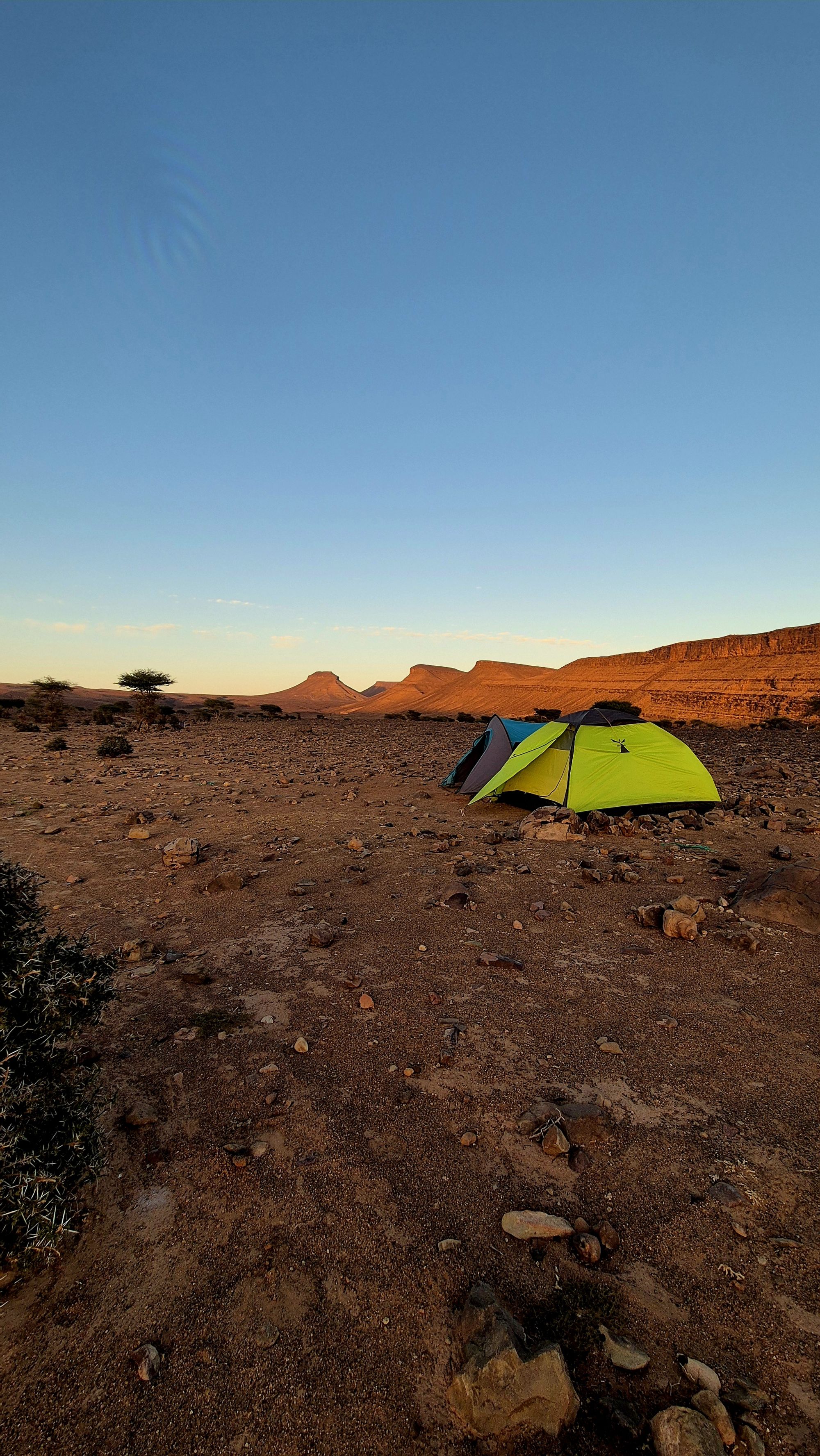 ØrkenvandringiSahara2026@UlrikeHaubenreisser (6)