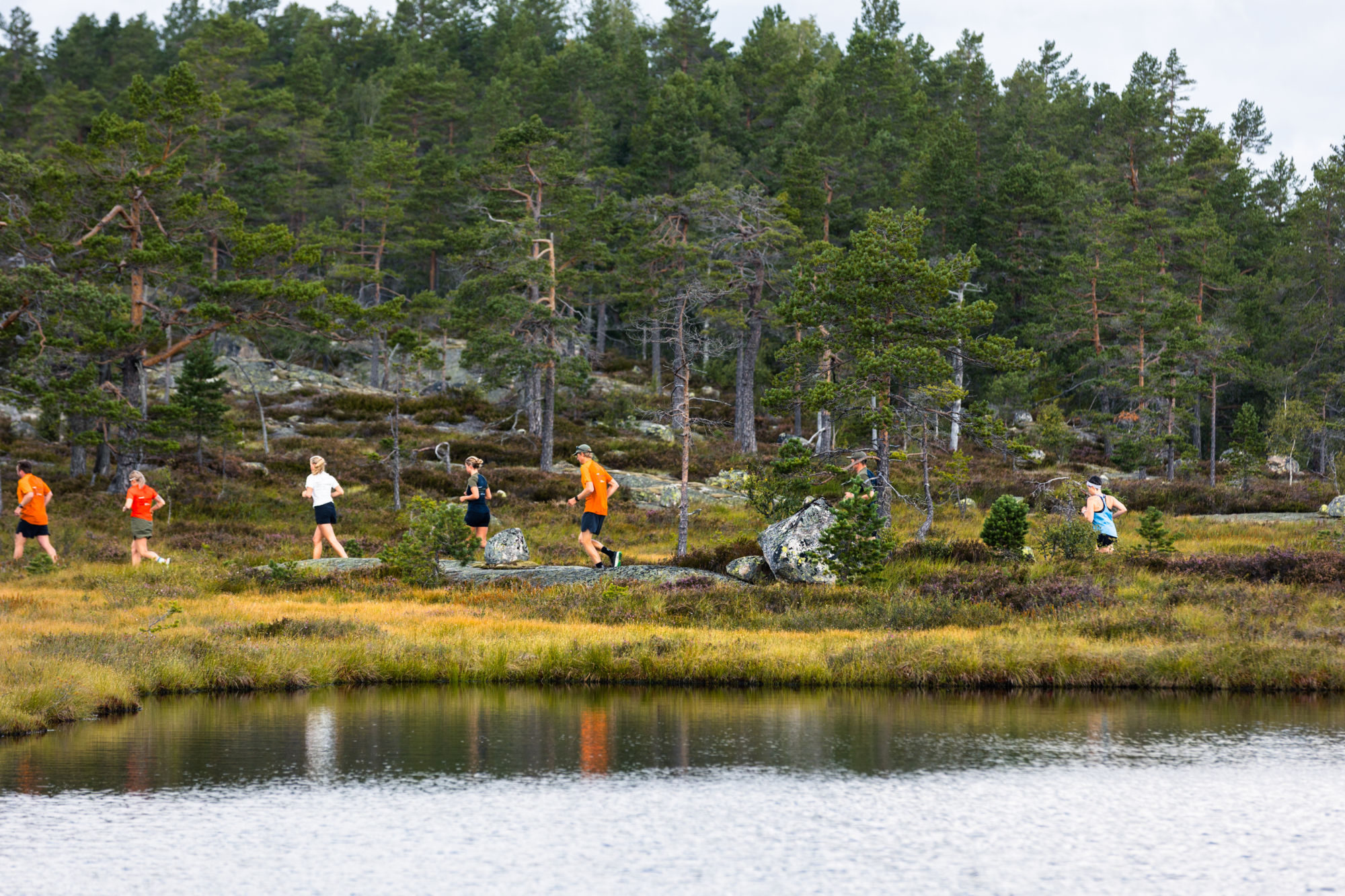 Trail run (63)