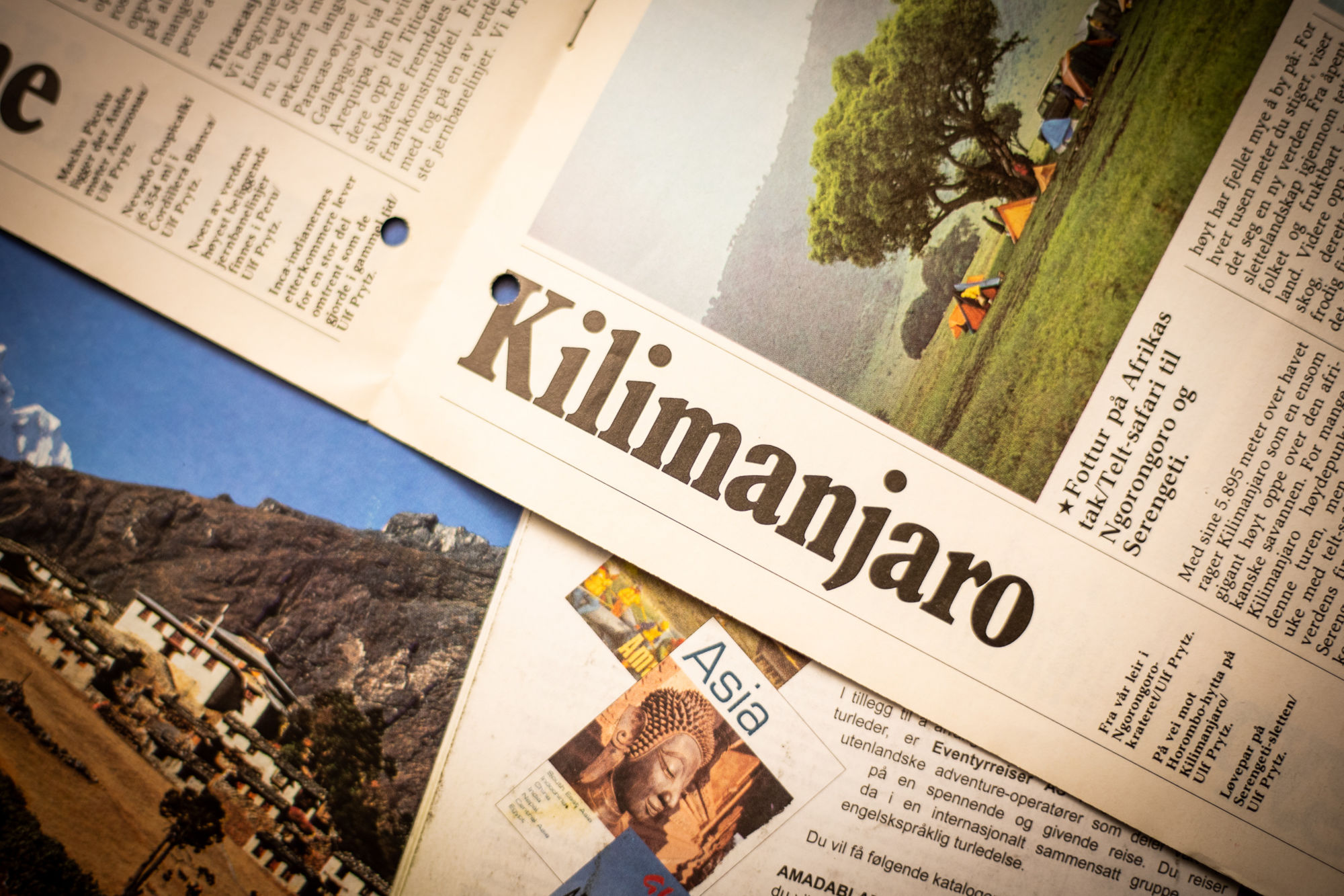 Hvitserk@NorronaAdventure (9)