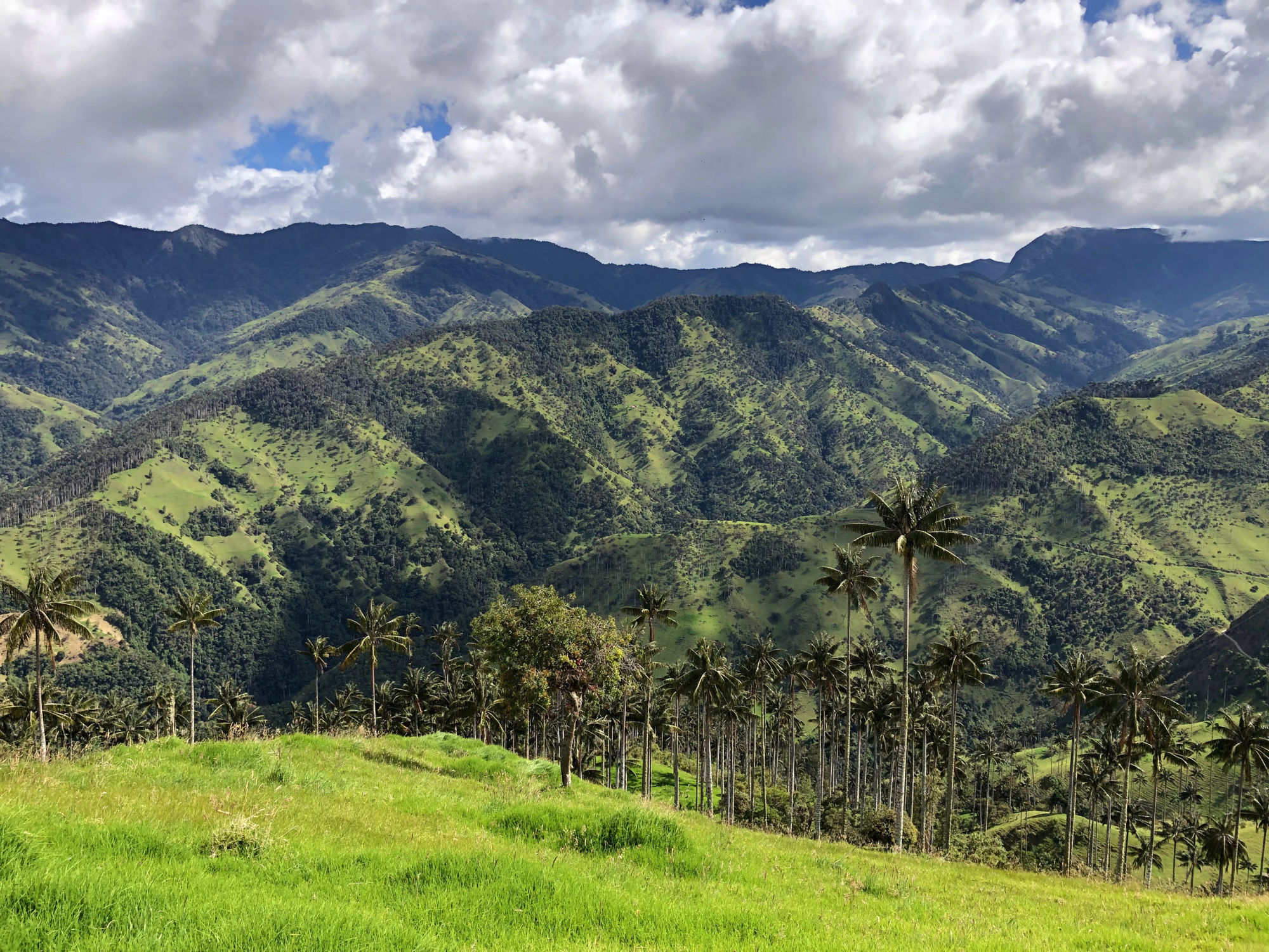 Colombia-2023@Sine Madsen(9)